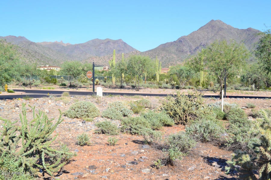 Silverleaf - Land