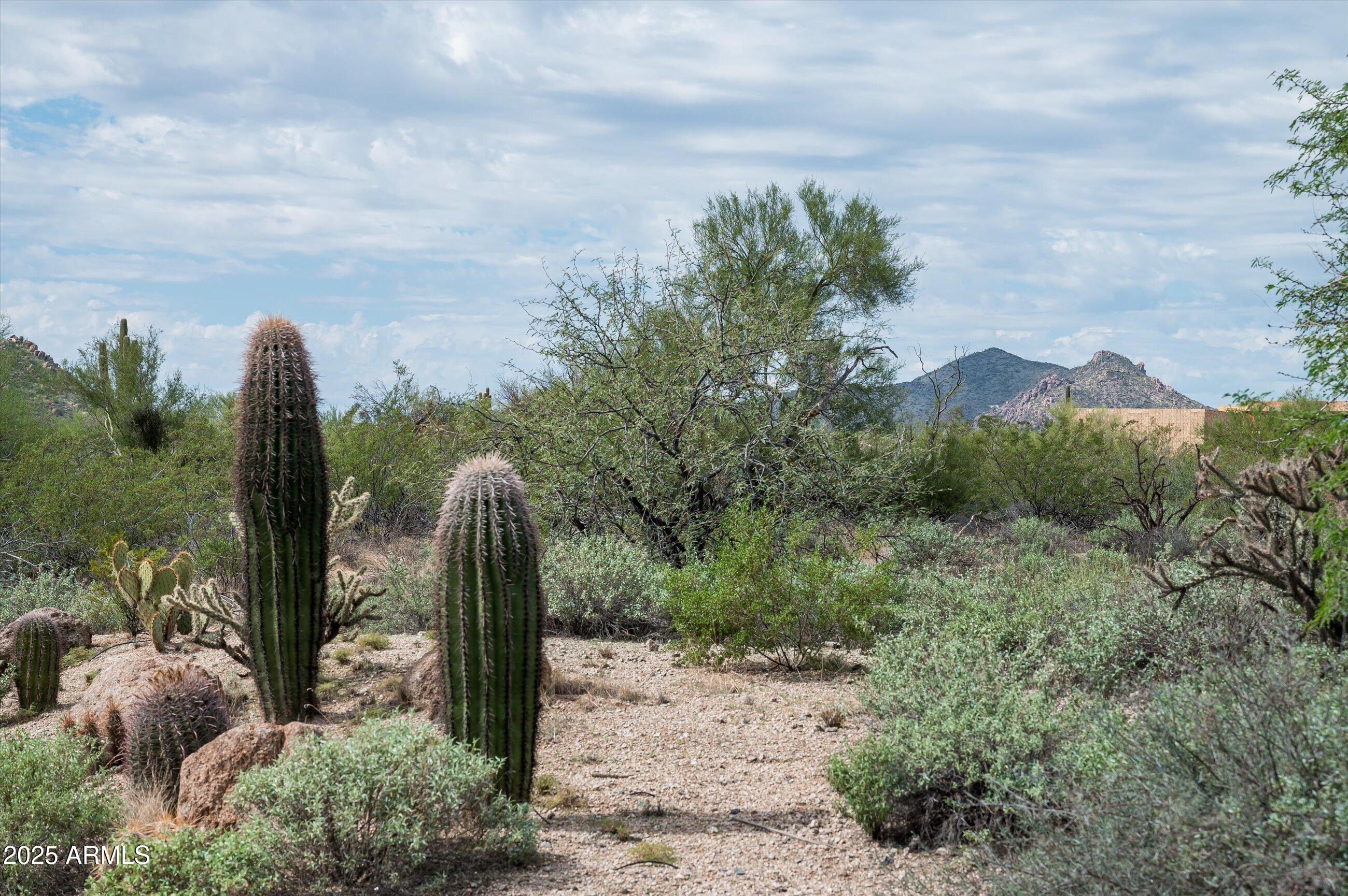 WHISPER ROCK - Land