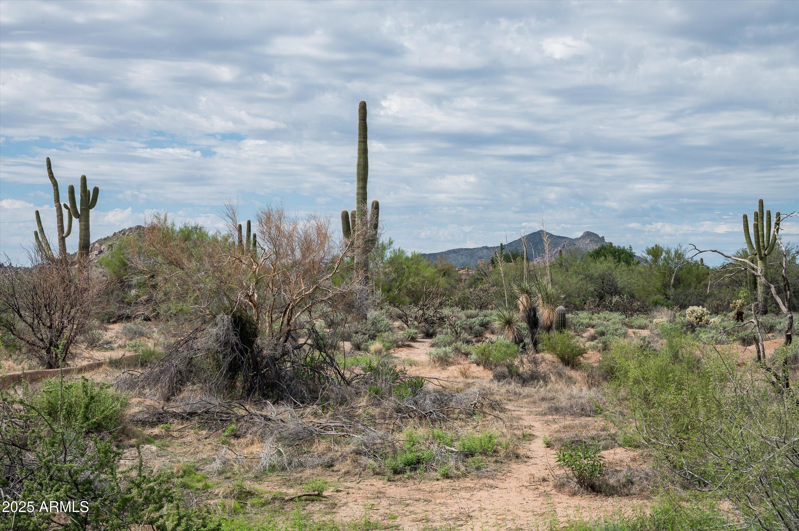 WHISPER ROCK - Land