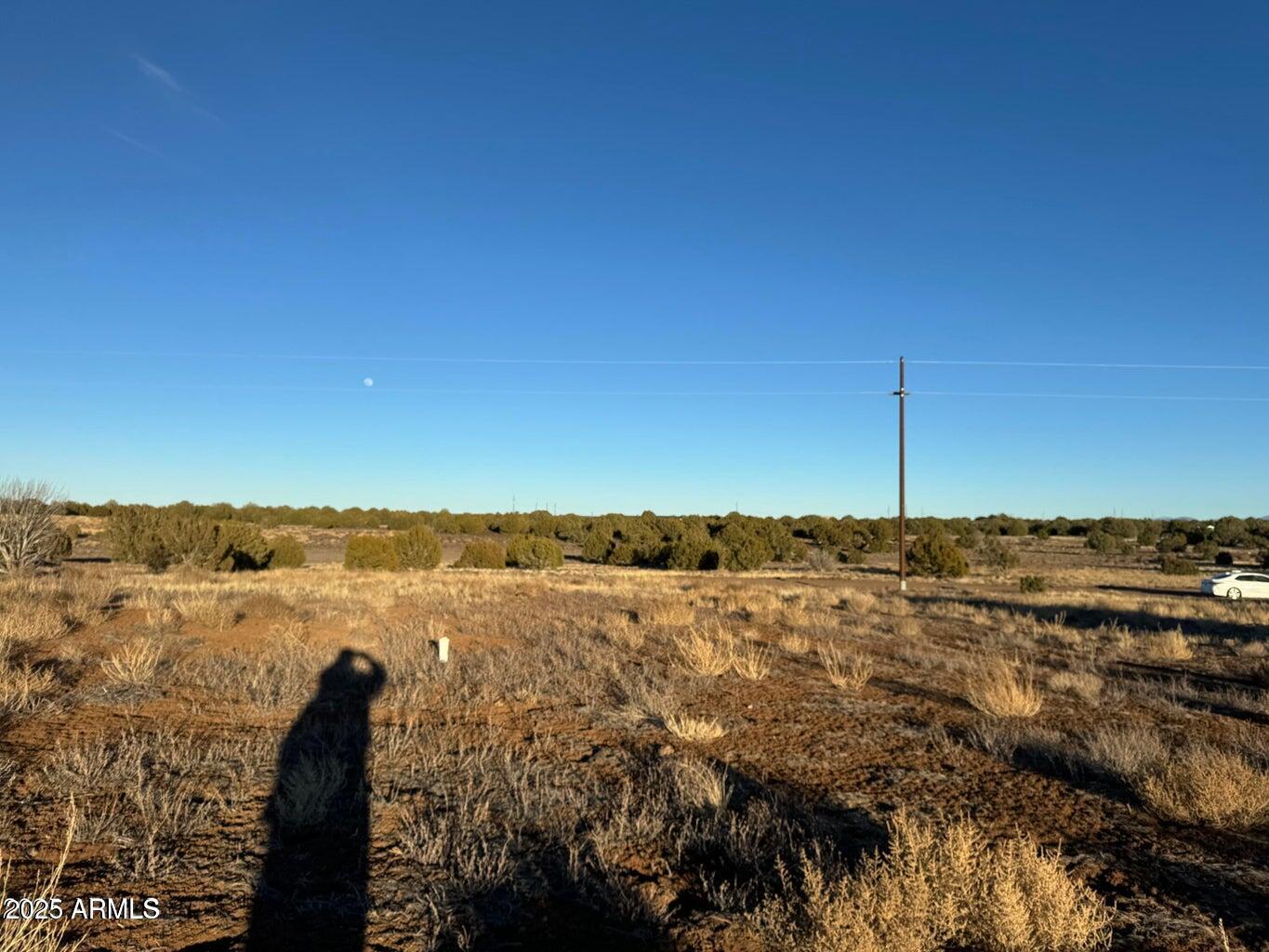 1.33 Acre lot in Show Low, AZ, just off White Mountain Lake Road - with 3 adjoining parcels also available. All parcels are graded, and also zoned for residential and commercial use, each parcel comes with its own septic tank. Power poles are also nearby and ready to be wired. Ready for site-built or mobile homes. Parcels are also ready to be connected to current well on property and already plumbed for it. Buy one lot or all! Additional adjoining land with lake rights may also be available upon request. Great opportunity for investment or multi-home setup in a peaceful, rural setting.