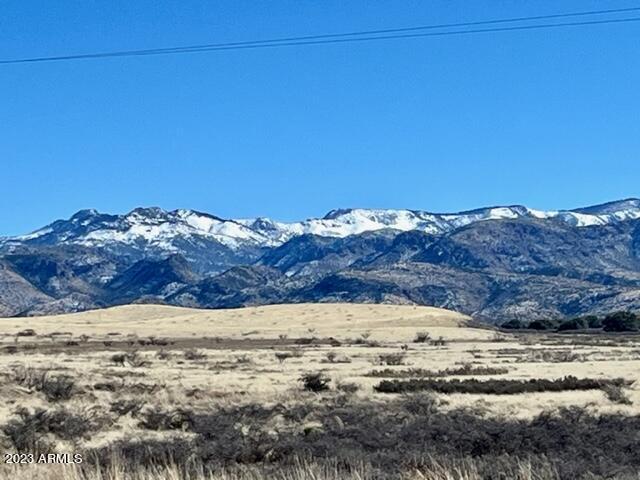 Spectacularly scenic 24AC, dividable and private parcel ADJOINING the Chiricahua National Monument along its eastern boundary and situated at 5200' elevation!  Water line is installed to SW corner of parcel. Recorded well agreement. Electric is approx 750' west of this parcel. Enjoy the 360 degree views of the Chiricahua's, Dos Cabezas, and Cochise Stronghold.  This area, AKA the ''Wonderland of Rocks'', offers so many recreational opportunities.  Build your dream home and enjoy this private retreat while having premier access to birding, hiking, horseback riding and camping.  Travel a short distance to local vineyards/wineries, Willcox (approx 30 min), Apple Annies, and so much more.  Soak in the sites and history of this unique area. When you walk this parcel, prepare to fall in love!