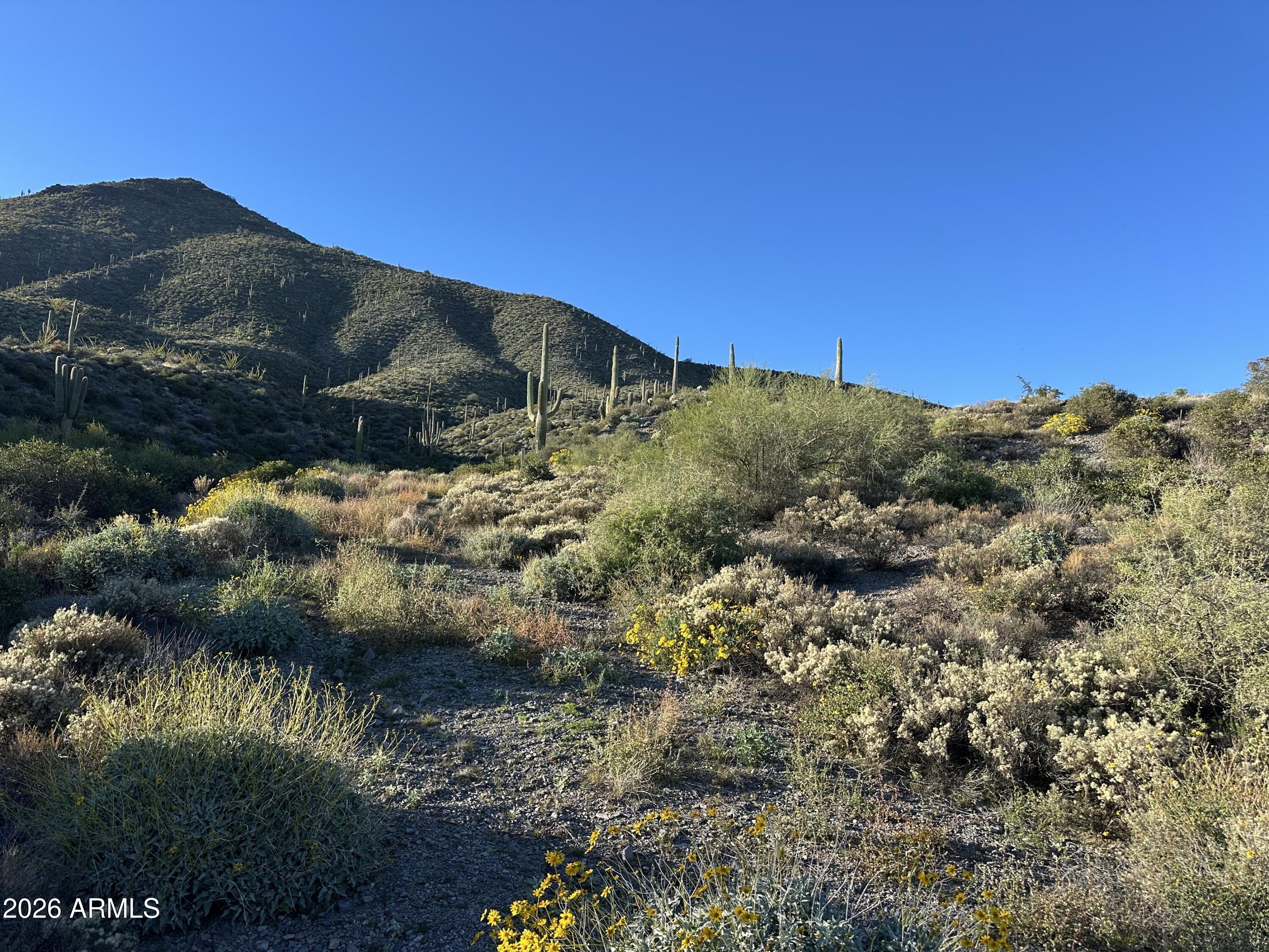 DESERT MOUNTAIN - Land