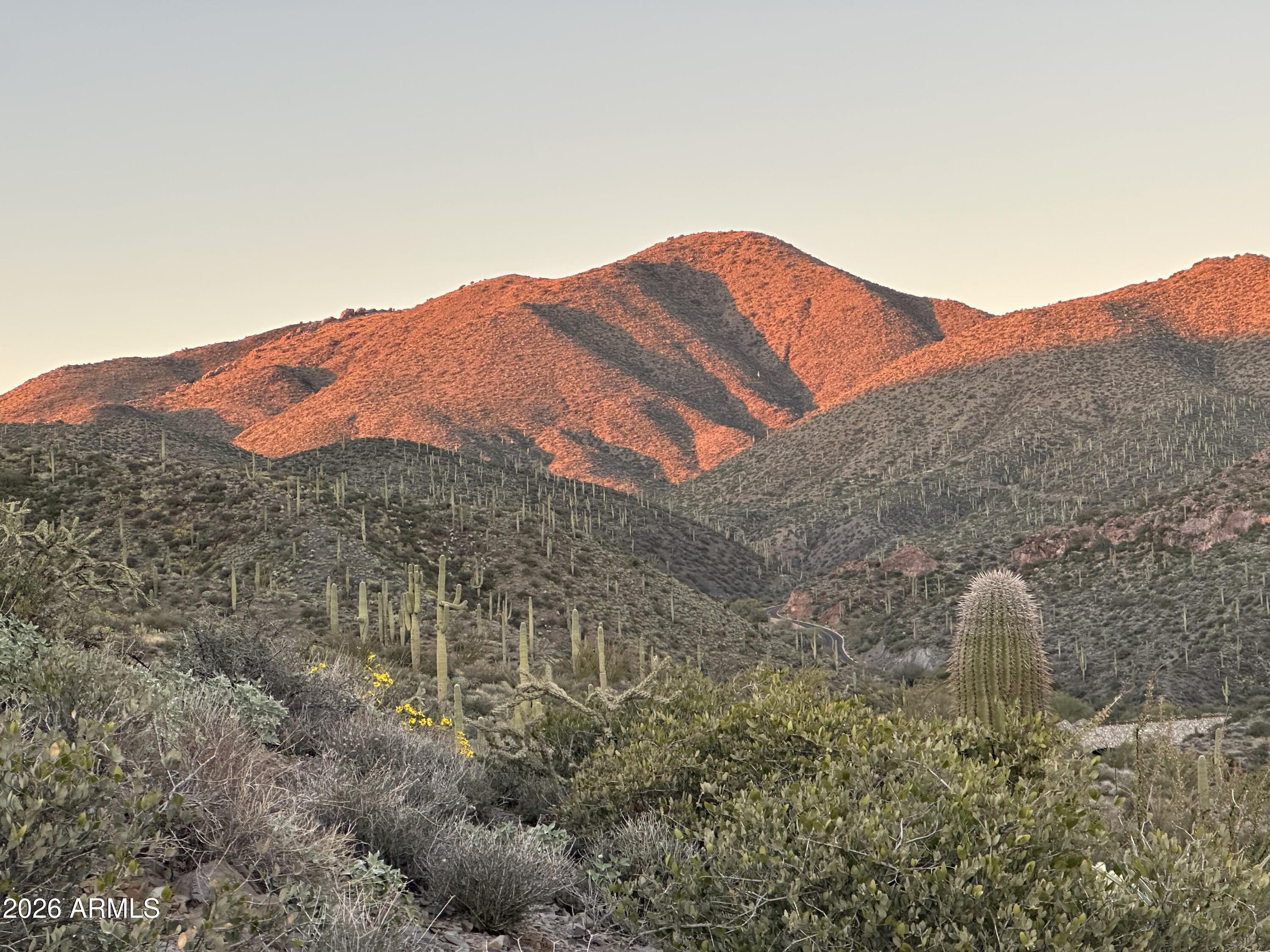DESERT MOUNTAIN - Land