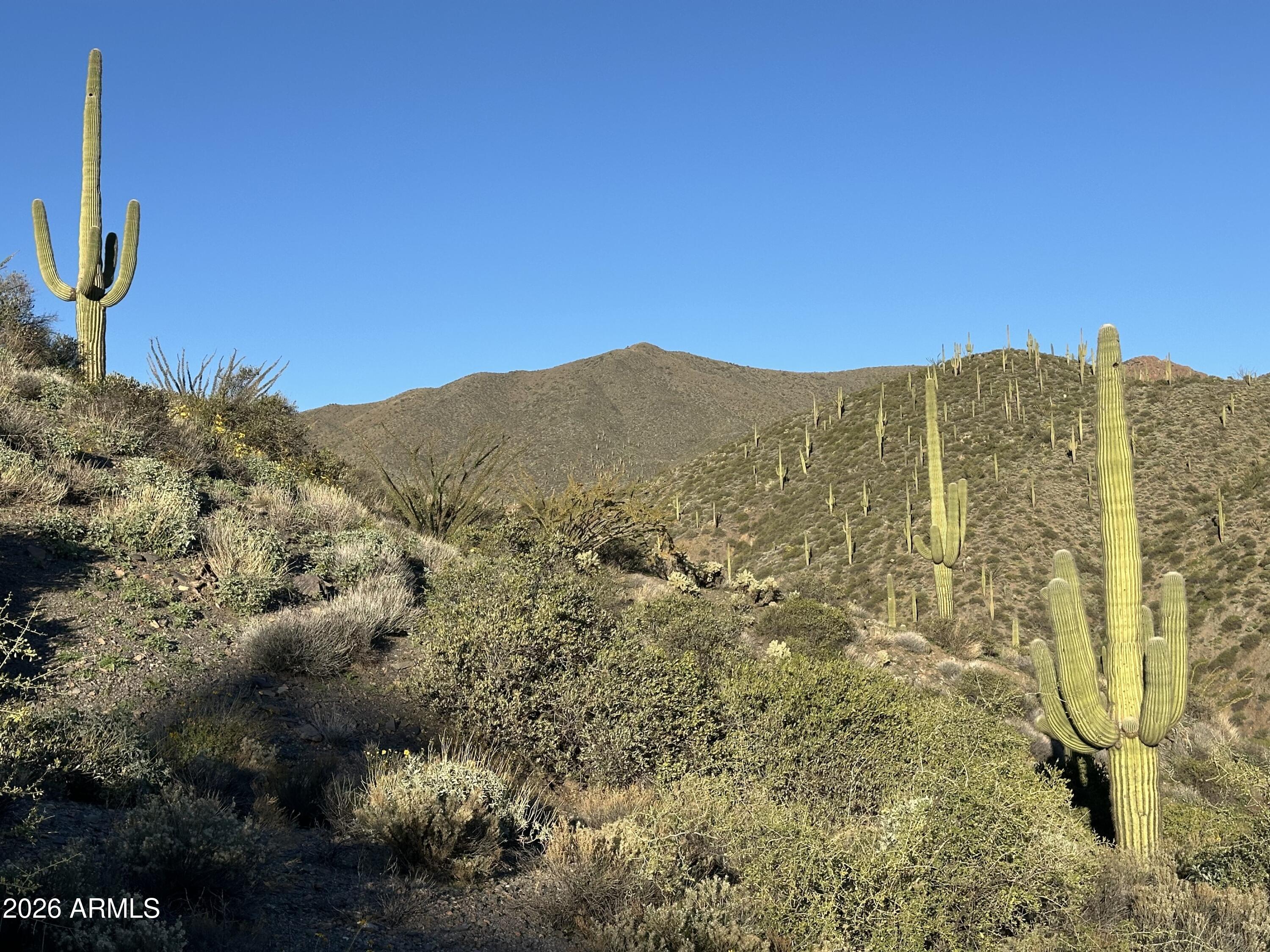 DESERT MOUNTAIN - Land
