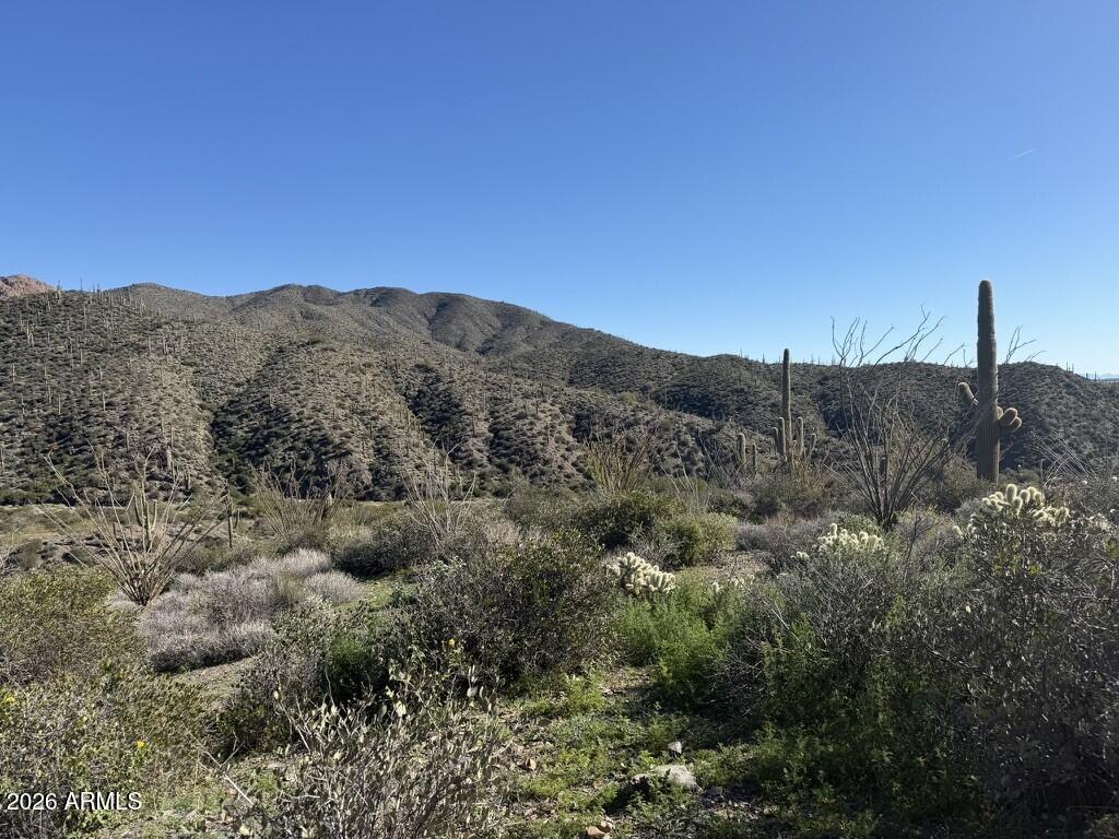 DESERT MOUNTAIN - Land