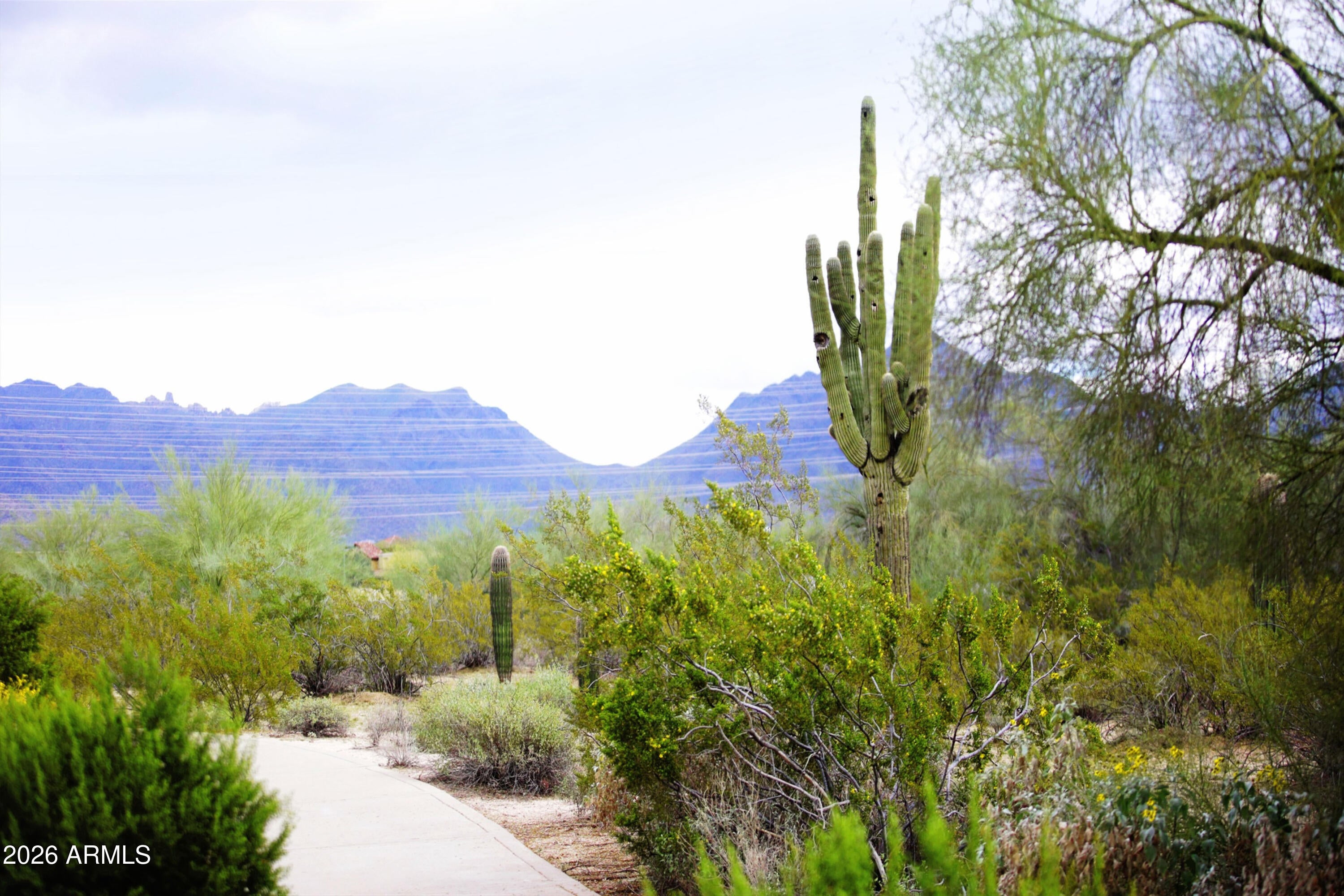 EDGE AT GRAYHAWK CONDOMINIUM - Residential