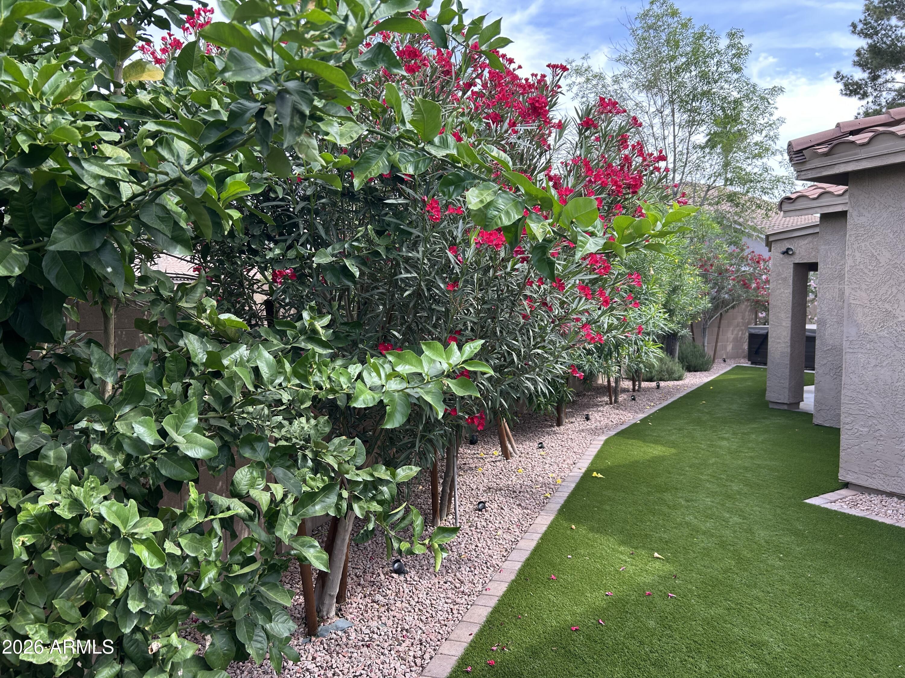 RAINTREE RANCH EAST LOTS 1-70 - Residential
