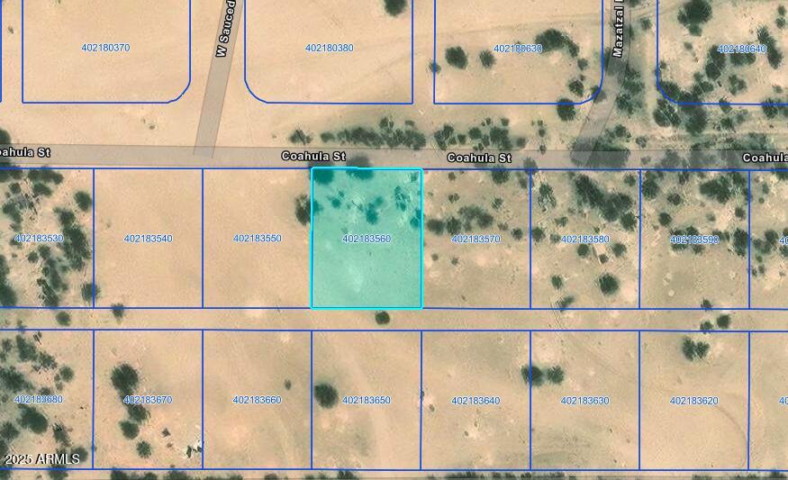 TOLTEC/ARIZONA VALLEY UNIT TWENTY ONE - Land