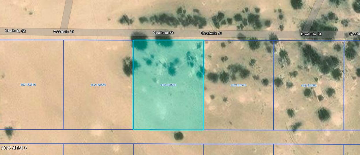 TOLTEC/ARIZONA VALLEY UNIT TWENTY ONE - Land