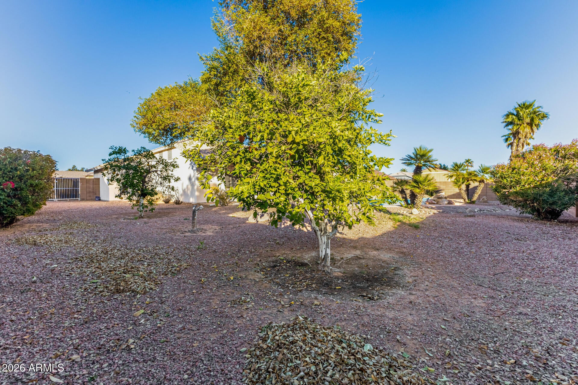 Coyote Ranch - Residential