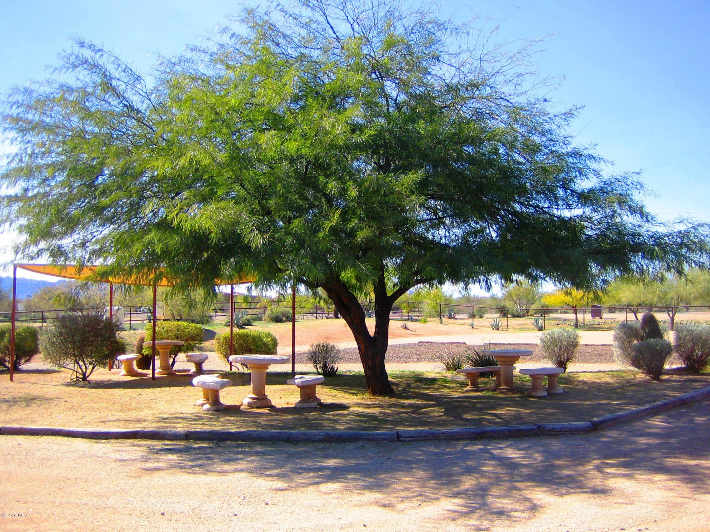 Rio Verde Foothills - Residential