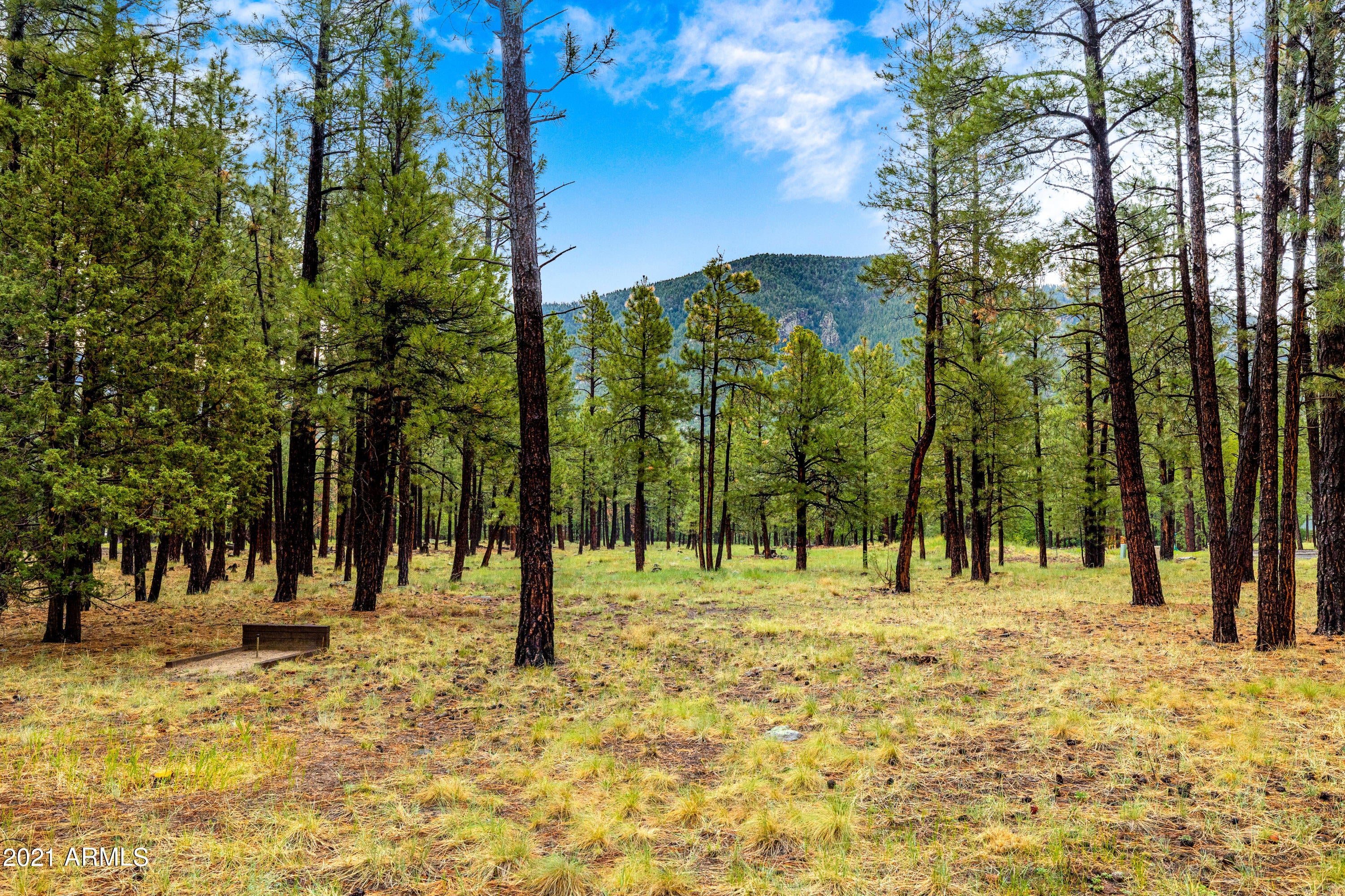 LOCKETT RANCHES - Residential