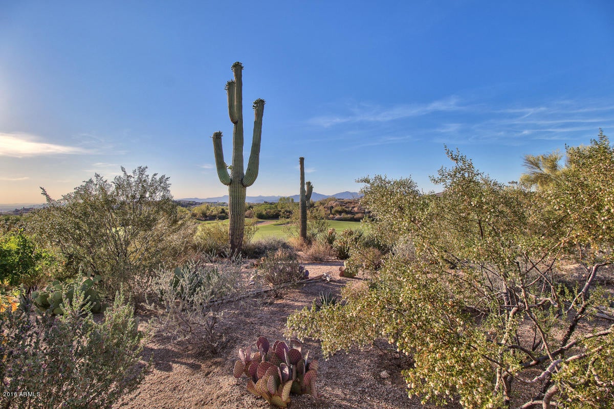 PINNACLE CANYON AT TROON NORTH UNIT 1 - Residential