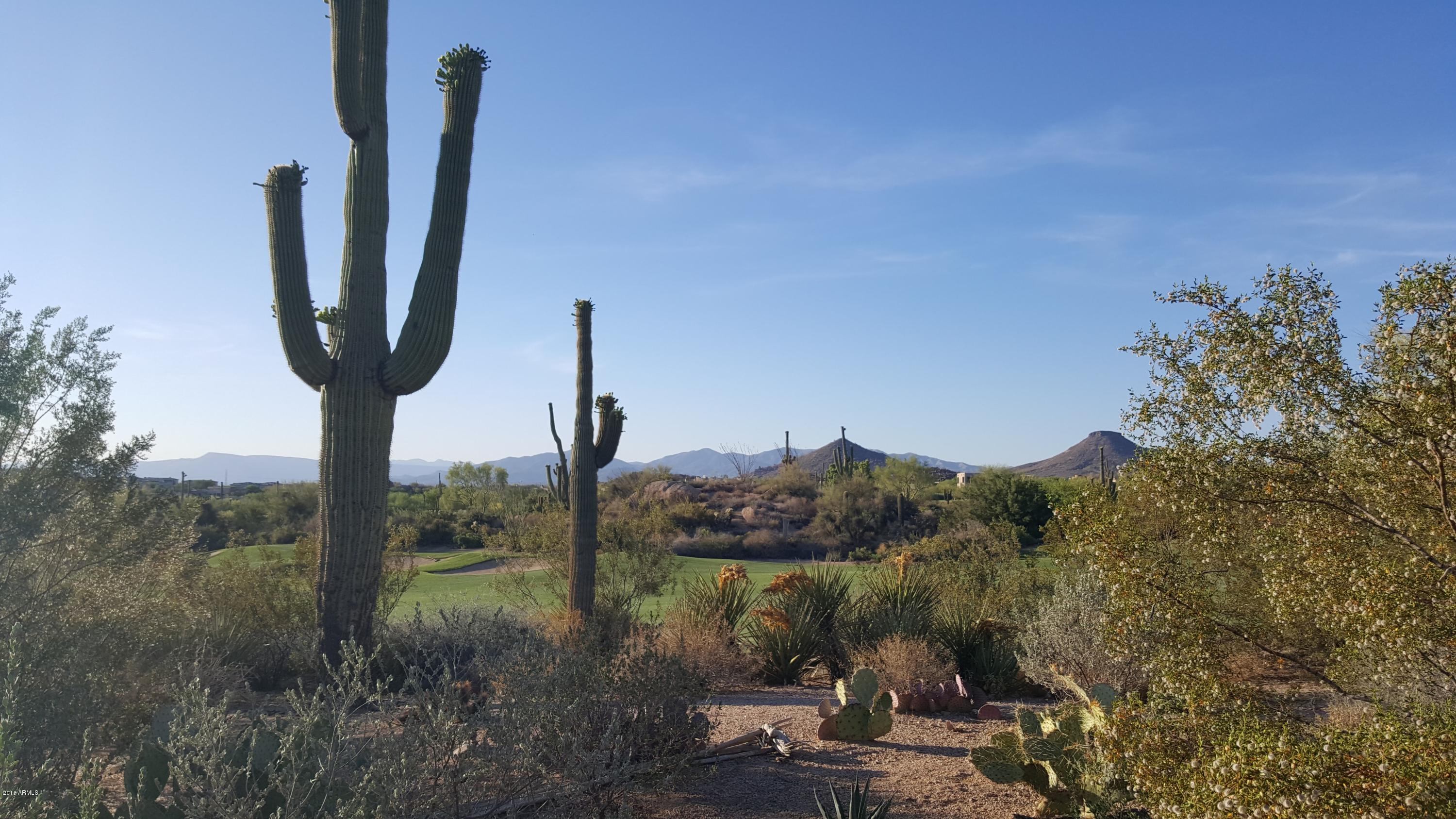 PINNACLE CANYON AT TROON NORTH UNIT 1 - Residential