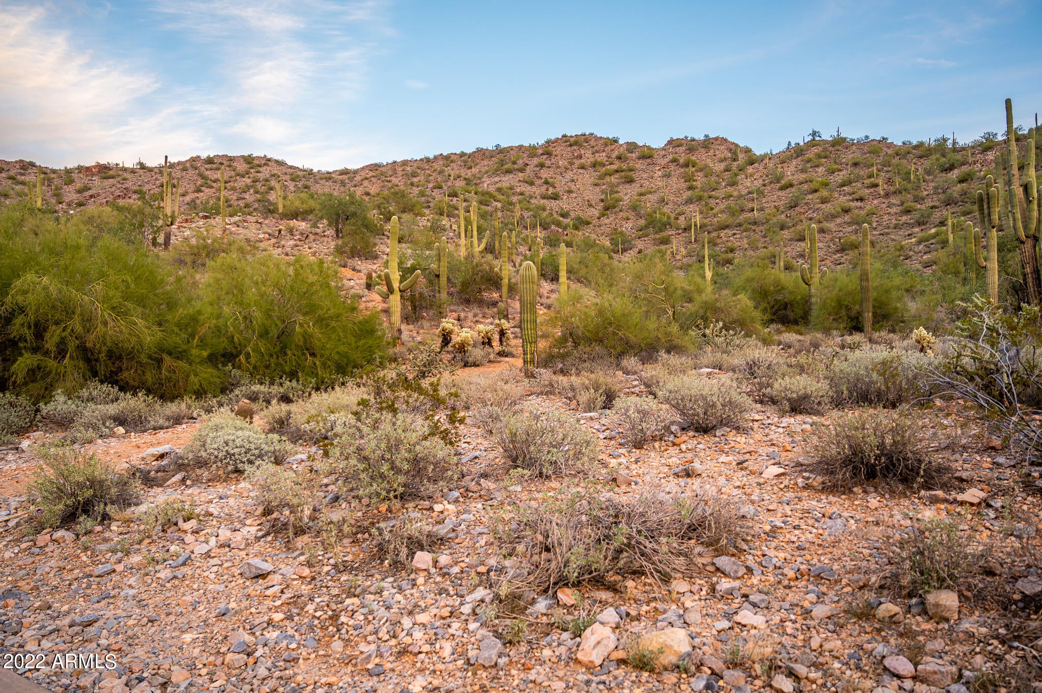 Silverleaf Horseshoe Canyon - Land