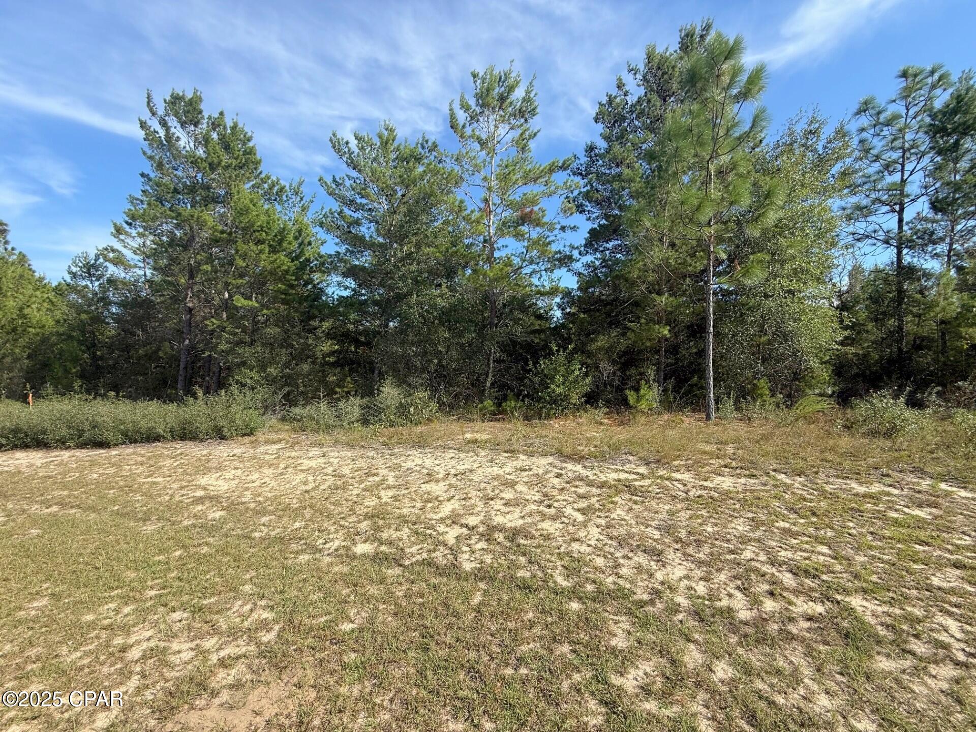 Sunny Hills Unit 1 - Land