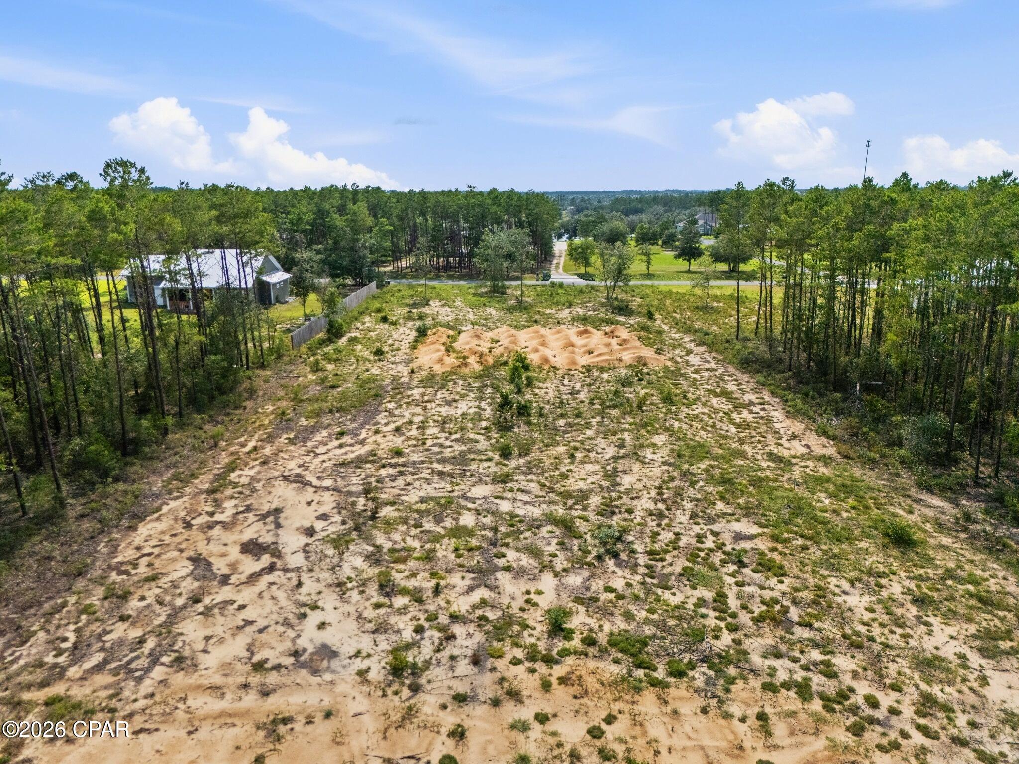 Bream Pond - Land