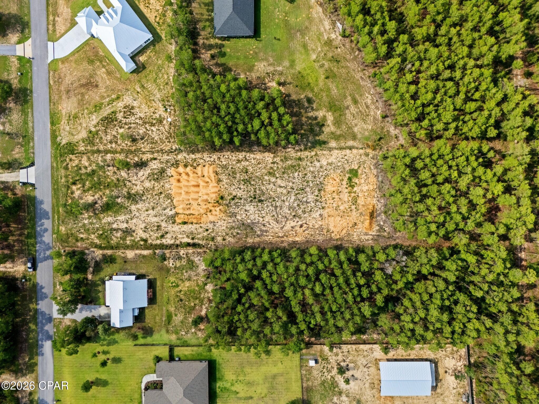 Bream Pond - Land