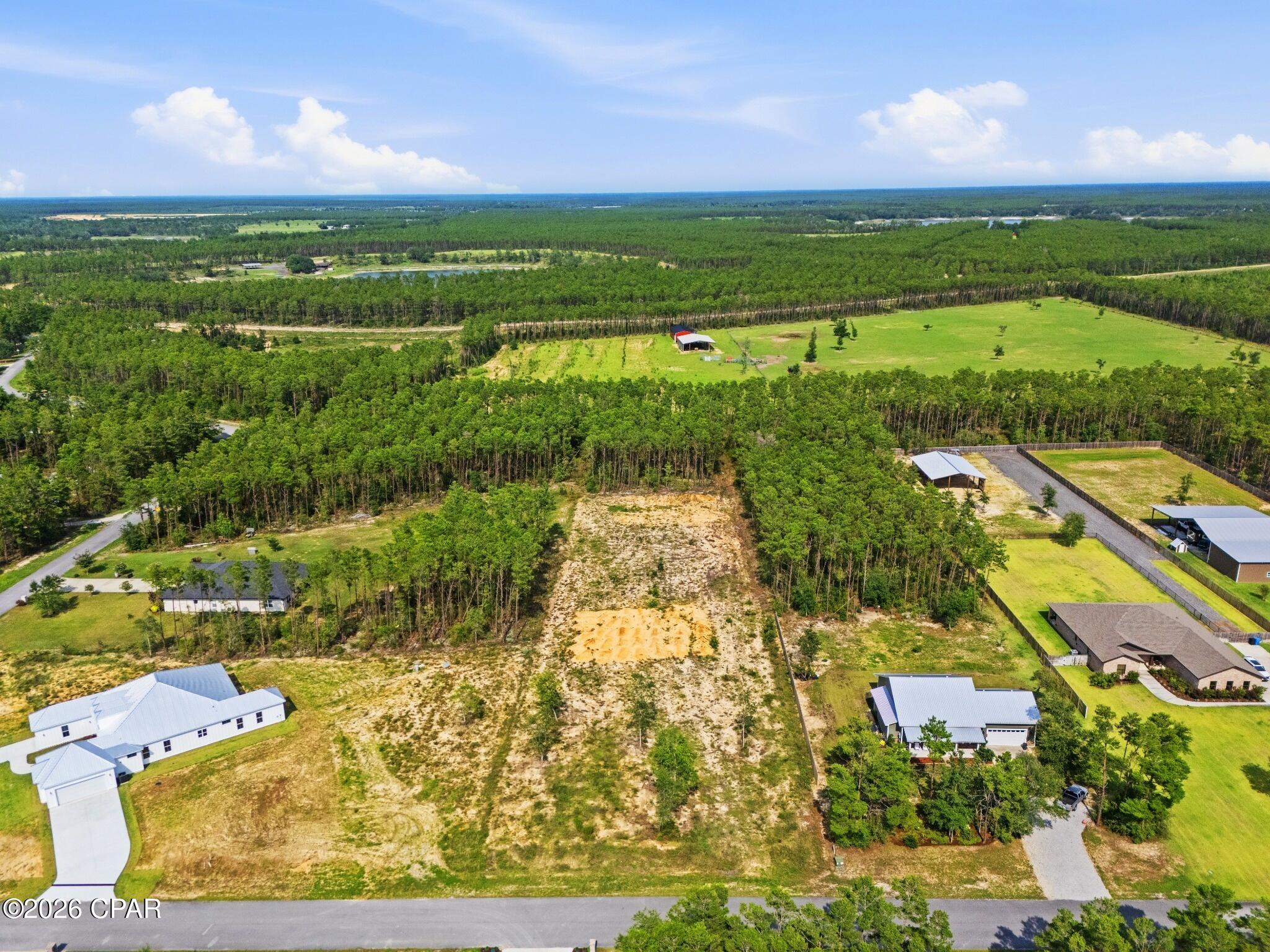 Bream Pond - Land