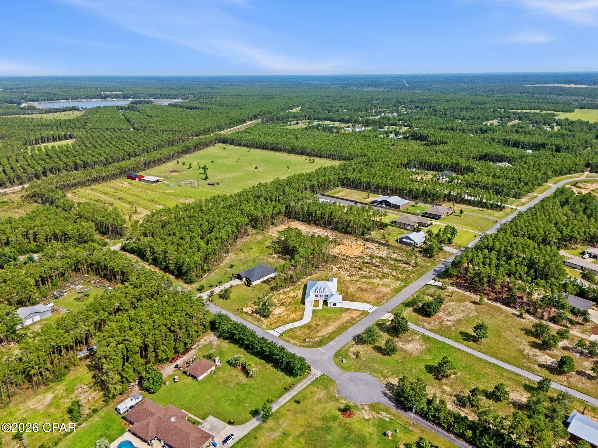 Bream Pond - Land