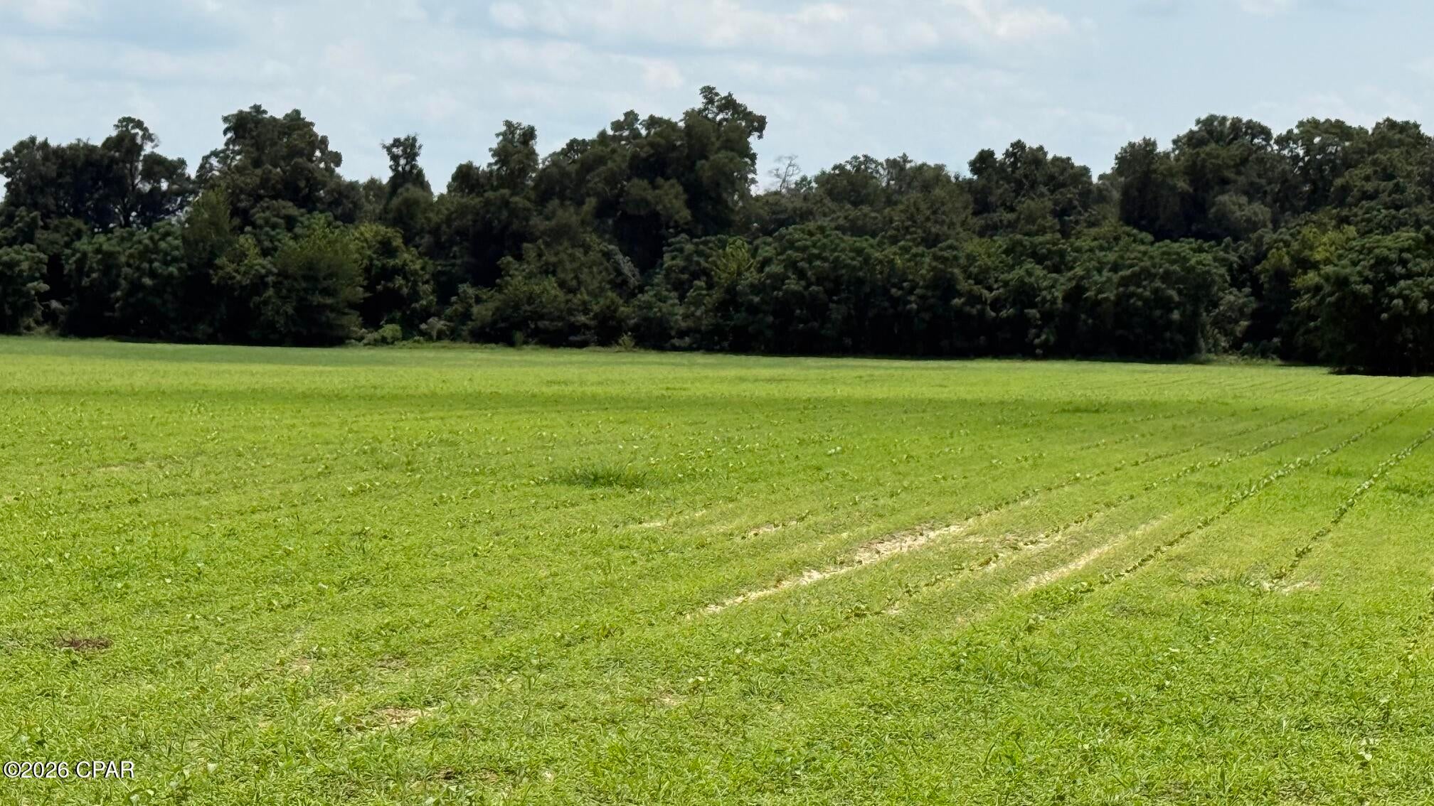 Introducing an opportunity in Bascom, FL. This property, zoned AG2, offers a great home site. Whether you want a peaceful home site or a hobby farm this property provides the space and zoning to bring your vision to life. Take advantage of the potential to create a distinguished residential haven in this sought-after location. Embrace the opportunity to shape the future with this remarkable property in Bascom.