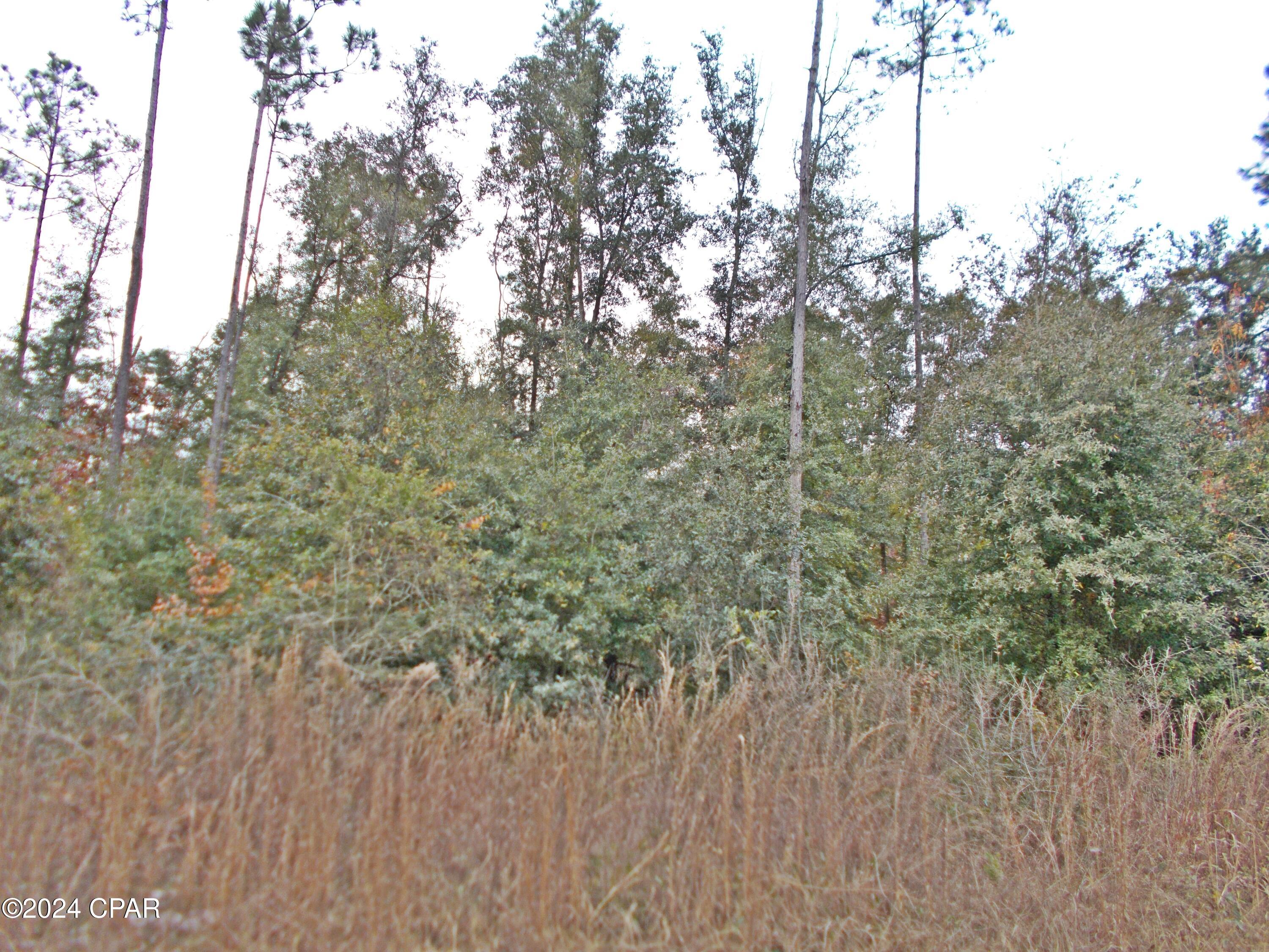 OWNER FINANCING... NO RESTRICTIONS... on this very nice scarcely wooded land just off a paved road, there are some clear areas nice level land no wet areas as I see, and some nice trees on it for your home, mobile home farm animals or whatever you want, there is a total of 13 ac the seller will sell all or part of it, how much do you want? The property has been surveyed as a whole but will be re surveyed as parcels are sold. The  2 ac will come off the North end of the parcel.