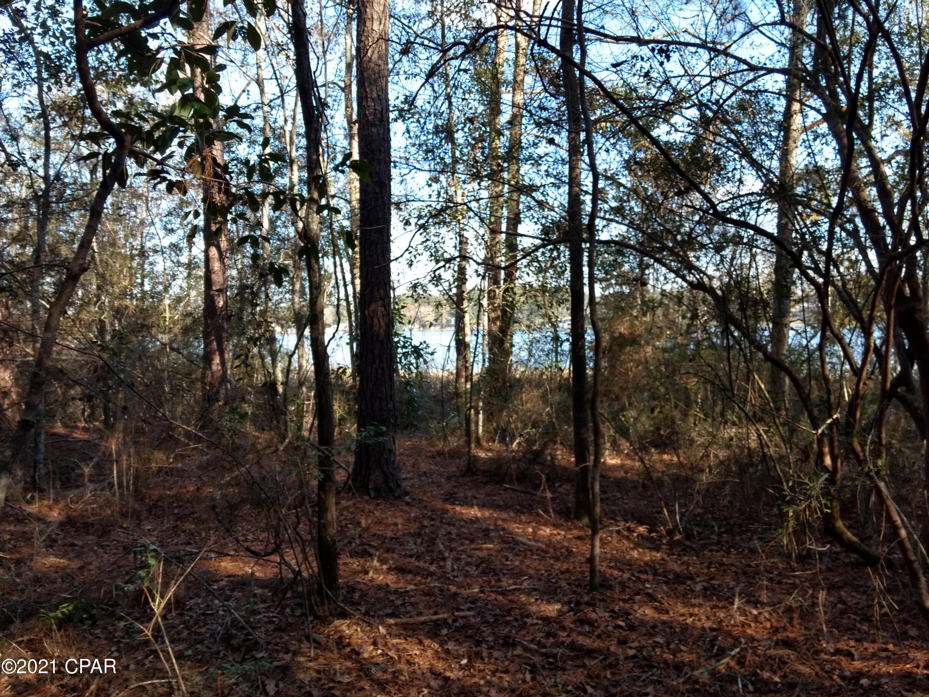 Lake Victor - Land