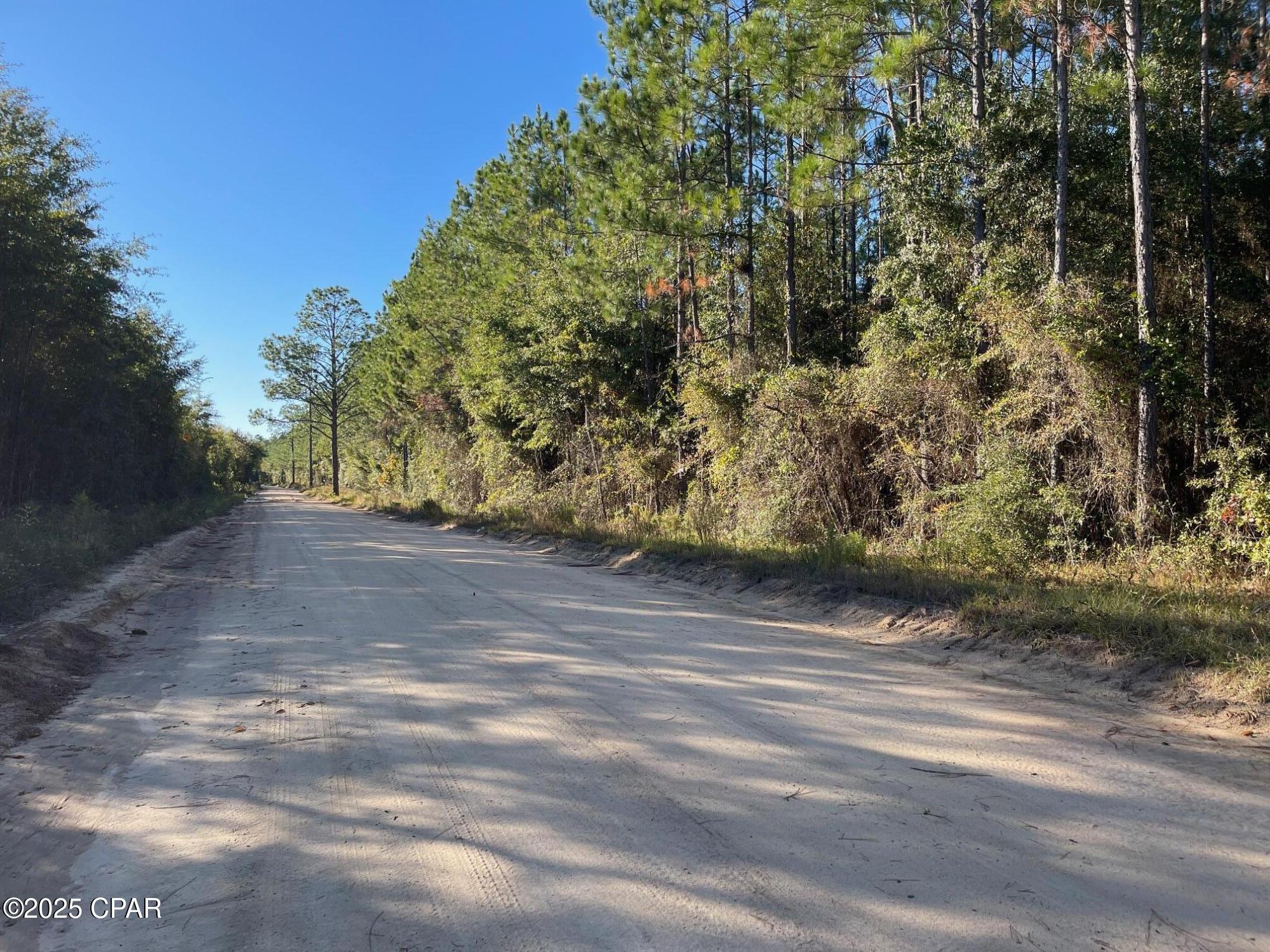 Blue Springs Plantation - Land