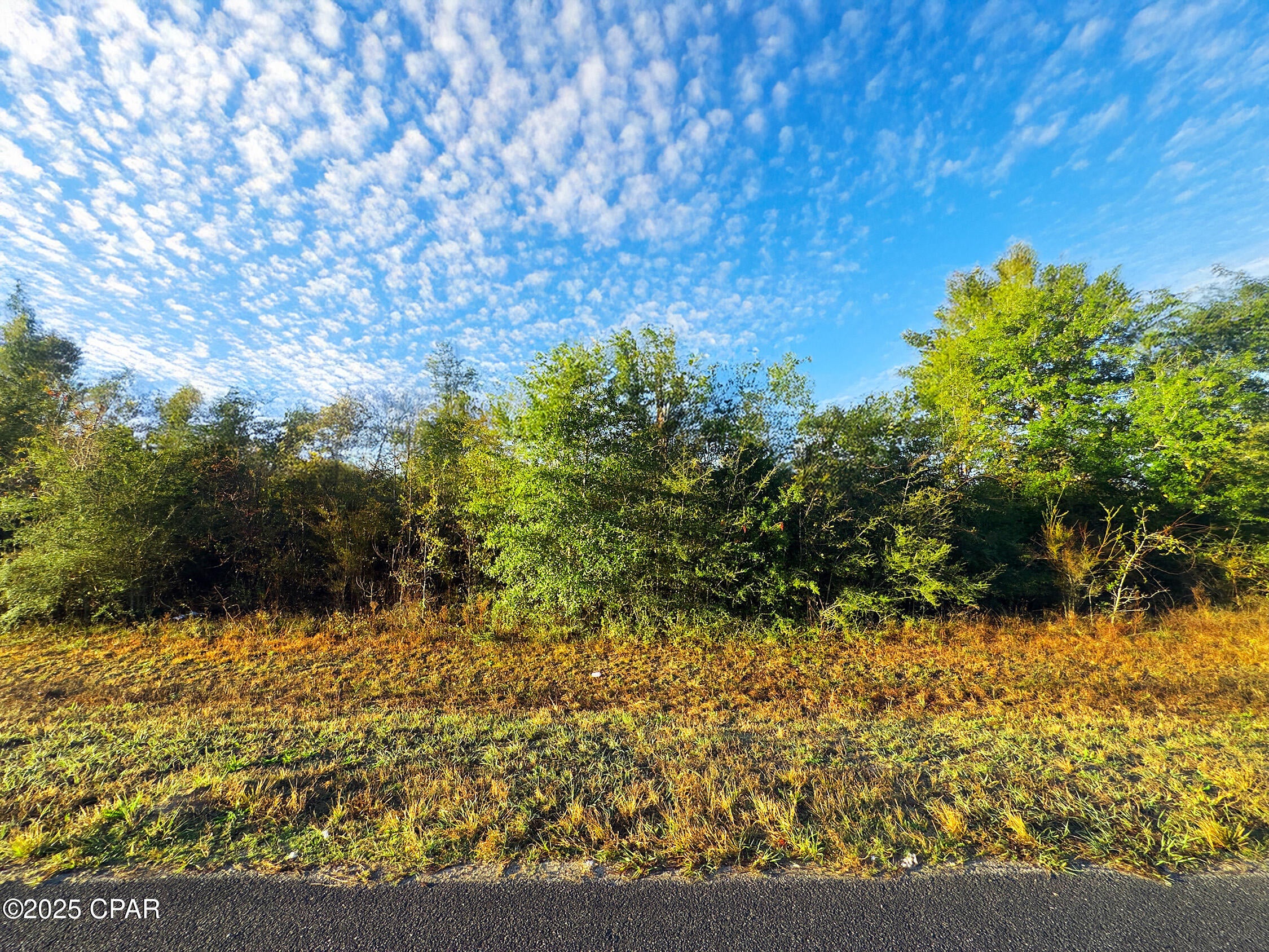 High and Dry building lot in Kinard Florida. Just over 3 acres and this could be the rural homesite you've been waiting for. Mostly wooded, this lot gives you the ability to cut and clear what you want and leave some ''privacy screen'' for a peaceful place to relax and call home. This property is is in a GREAT flood zone...Go see this today and then call me with questions!