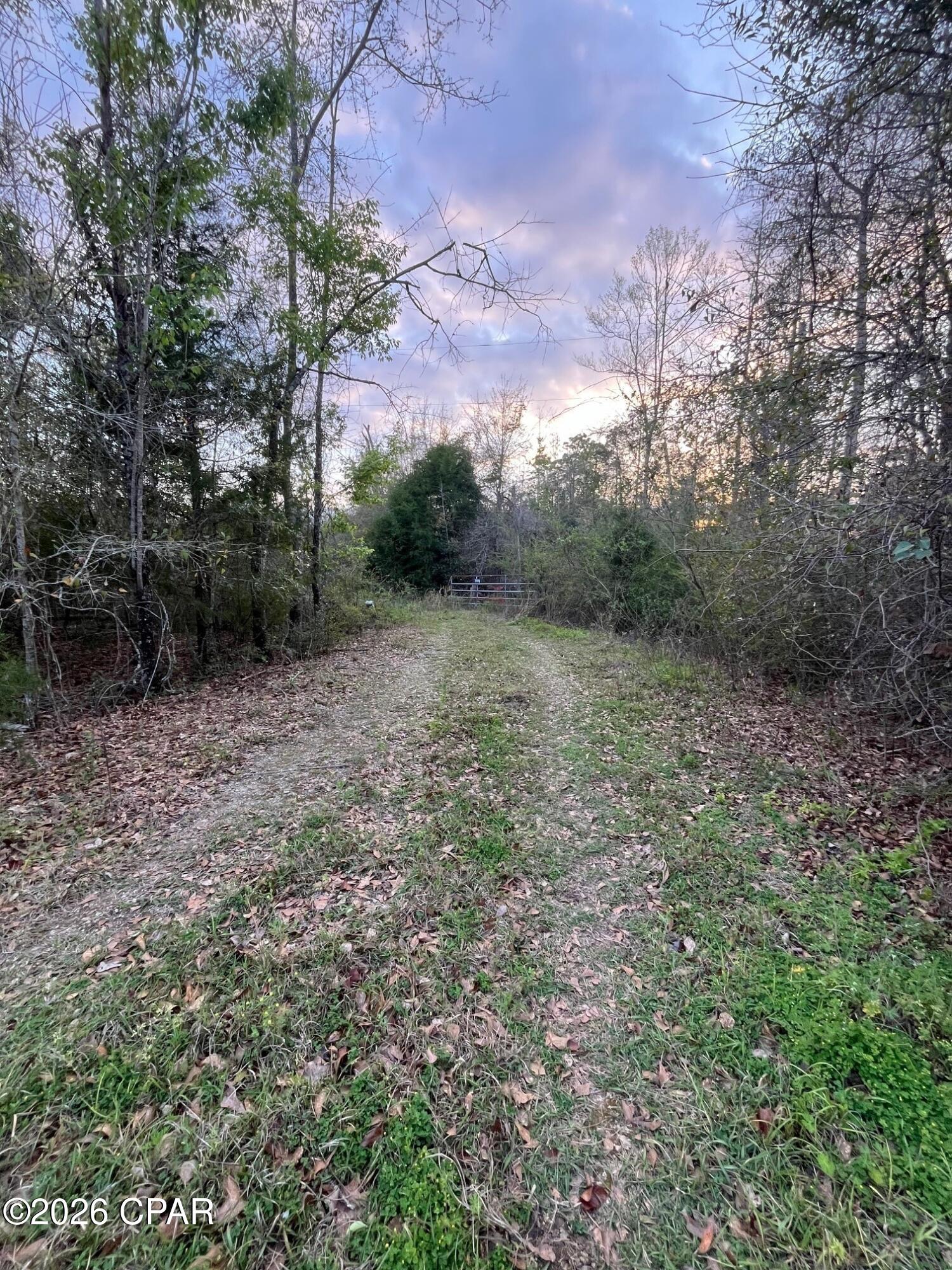 Tucked away at the end of a quiet dead-end road, this secluded 2+/- acre parcel presents an exceptional opportunity to create your ideal homesite. A private, gated drive welcomes you onto the property, offering a true sense of peace and privacy that's increasingly hard to find. Surrounded by expansive wooded tracts, this land is a haven for nature lovers, with abundant wildlife. 

 Please note, there is an existing hurricane-damaged structure on site that holds no value and will require removal--giving you a clean slate to design exactly what you envision. New well placed in 2016 per seller.

Conveniently located less than 10 minutes from town, you'll enjoy the perfect balance of seclusion and accessibility. Plus, you're approximately an hour's drive from Dothan, Panama City, and Tallahassee, making this an ideal location for a weekend retreat or full-time residence.

If you've been searching for privacy, natural beauty, and potential, this property is ready to be transformed into something truly special.