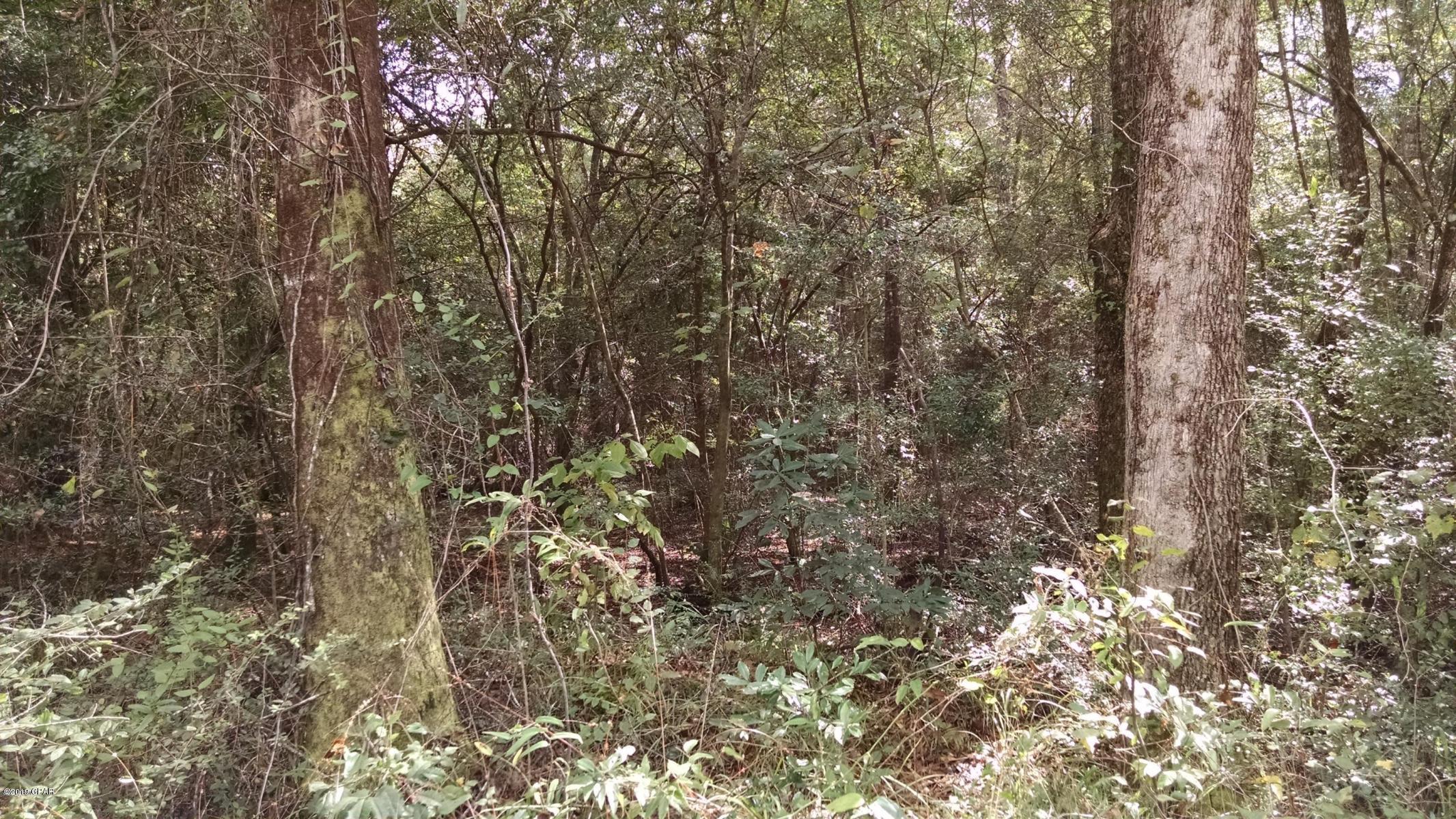 Caryville Campsites - Land