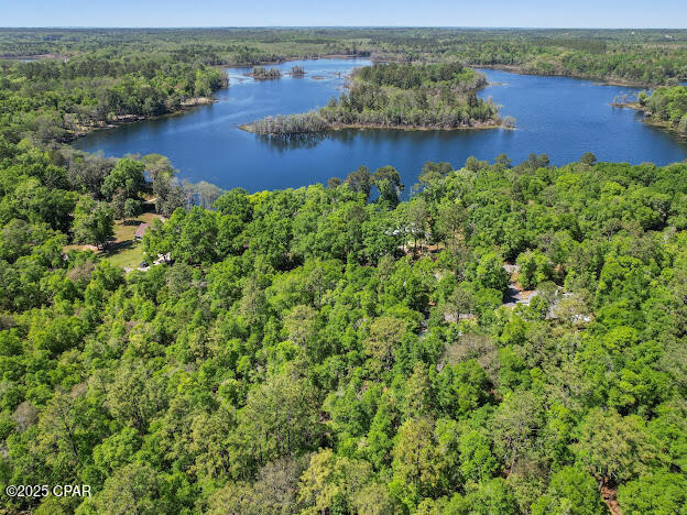 Paradise Lakes - Land