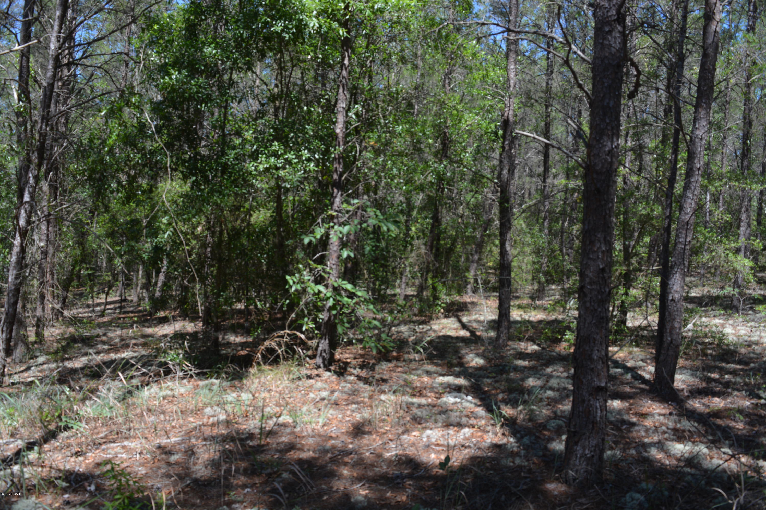 No Named Subdivision - Land