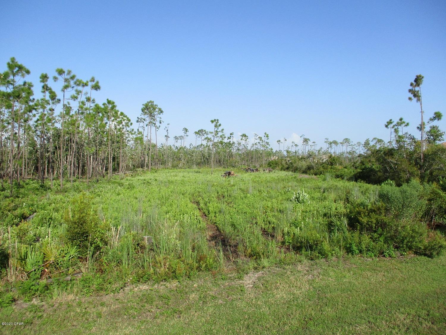 Laird Bayou - Land