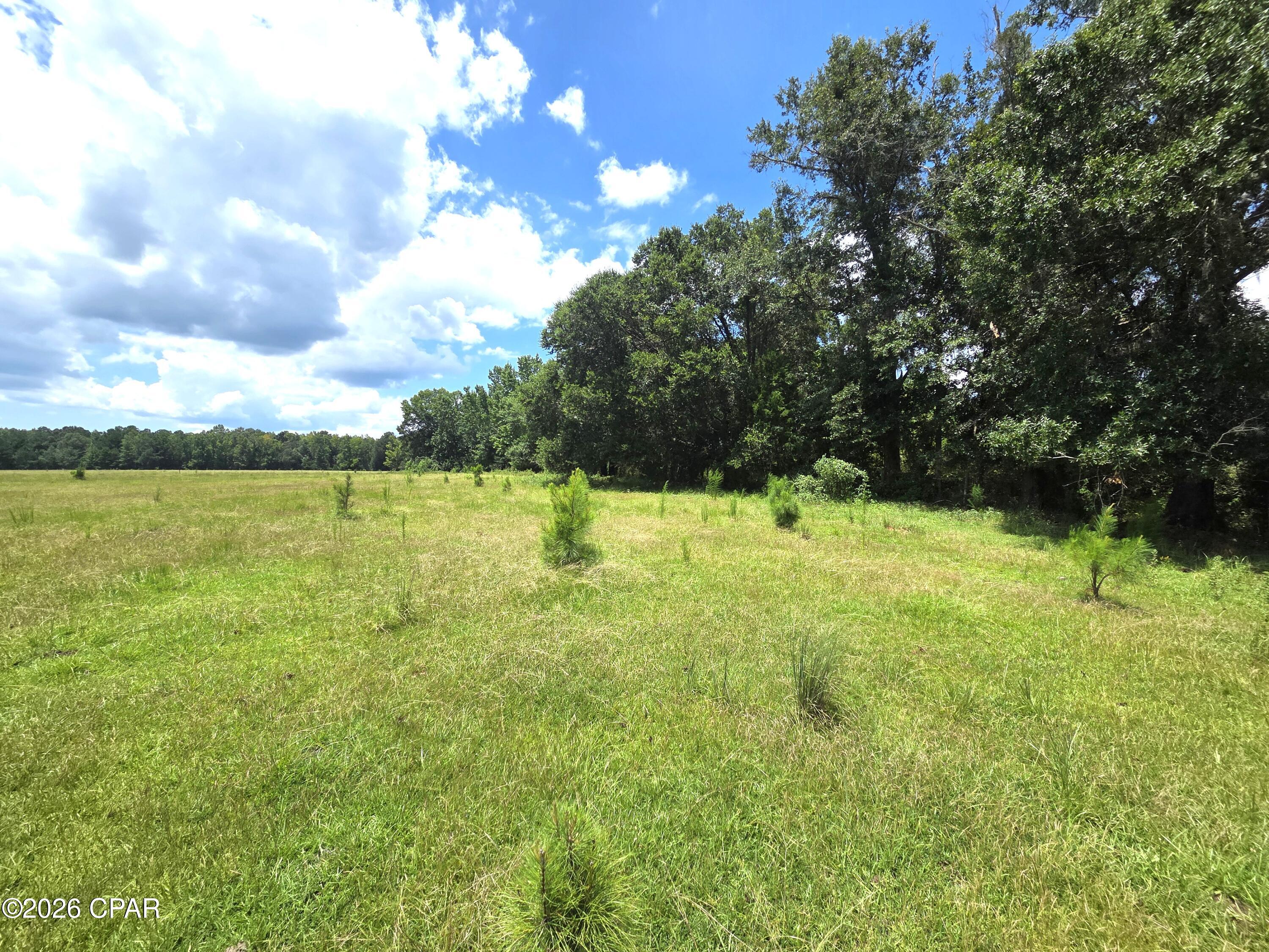 Creek-front acreage with highway and National Forest frontage on Southwest County Road 379, Bristol, Florida
Discover exceptional rural acreage offering the best of Liberty County living. This property features direct creek frontage for peaceful water views and recreational enjoyment, combined with convenient highway frontage along Southwest County Road 379 for easy access. Expansive open pasture land provides ideal space for livestock, hay production, or future development, while mature, beautiful oak trees and towering pines create a scenic, shaded canopy throughout.
The tract also enjoys valuable frontage on National Forest land, delivering enhanced privacy, natural beauty, and direct access to public forest for hunting, hiking, and outdoor recreation. Located in the Bristol area of Northwest Florida, the property sits in a quiet yet accessible setting near local amenities while retaining its rural character.
Whether you're seeking a private homestead, agricultural use, recreational retreat, or investment land with strong natural features, this creek-front parcel with highway and forest frontage offers outstanding versatility and long-term appeal.