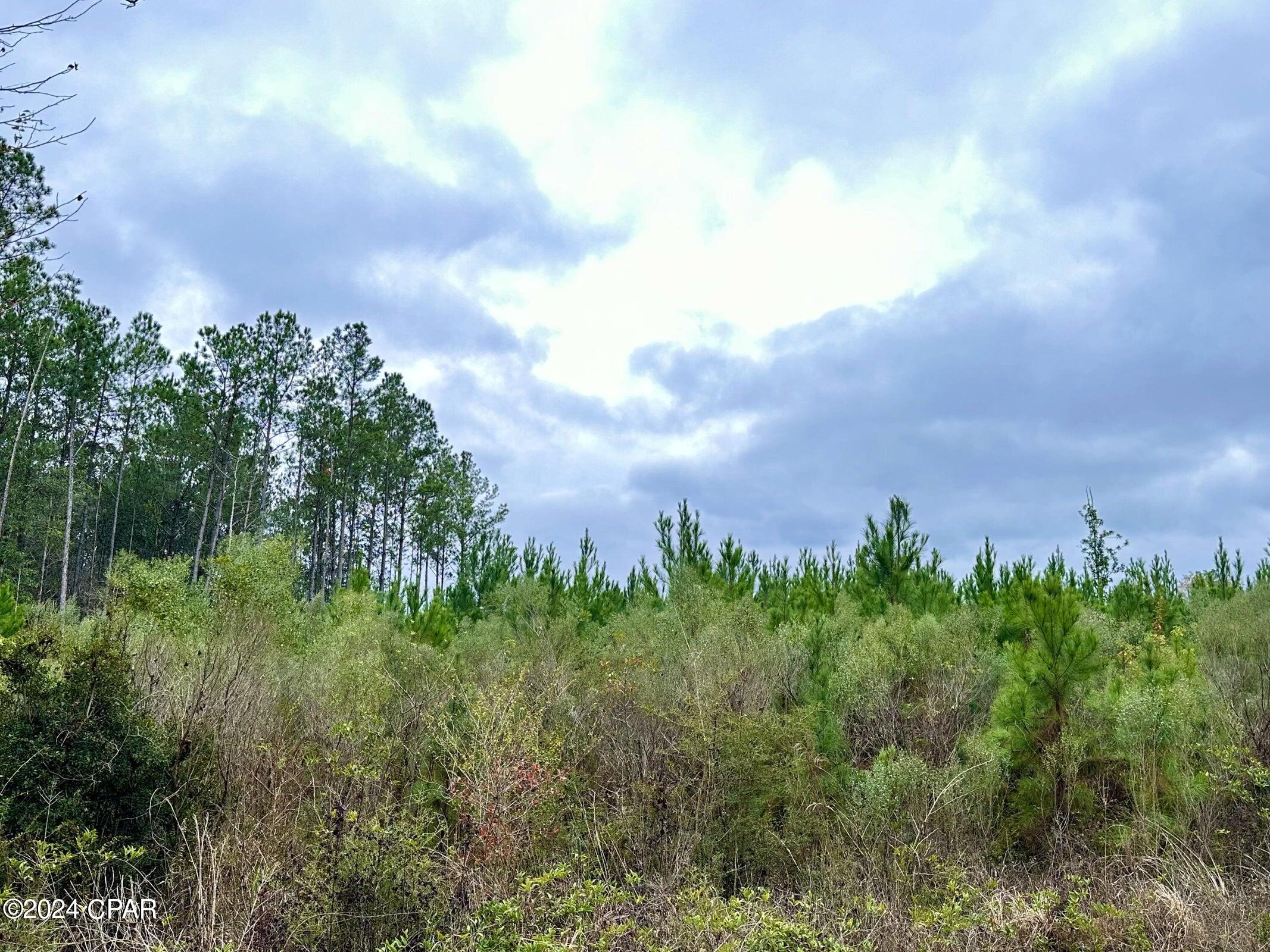 Dream Location for Country Living or Hunters Paradise either way you won't want to miss this opportunity! This Beautiful 74.88+/- Acres of prime land on a corner lot on Dirt rd White RD. and open creek Rd. Power may be available from white rd. Bring your build plans, hunting gear, Horses and ATVS LOCATION LOCATION!!!! This Property has Easy Access to Panama City Beaches I-10, Hwy 79, Hwy 81, and Hwy 90.DEED RESTRICTIONS. SEE DOCUMENTS