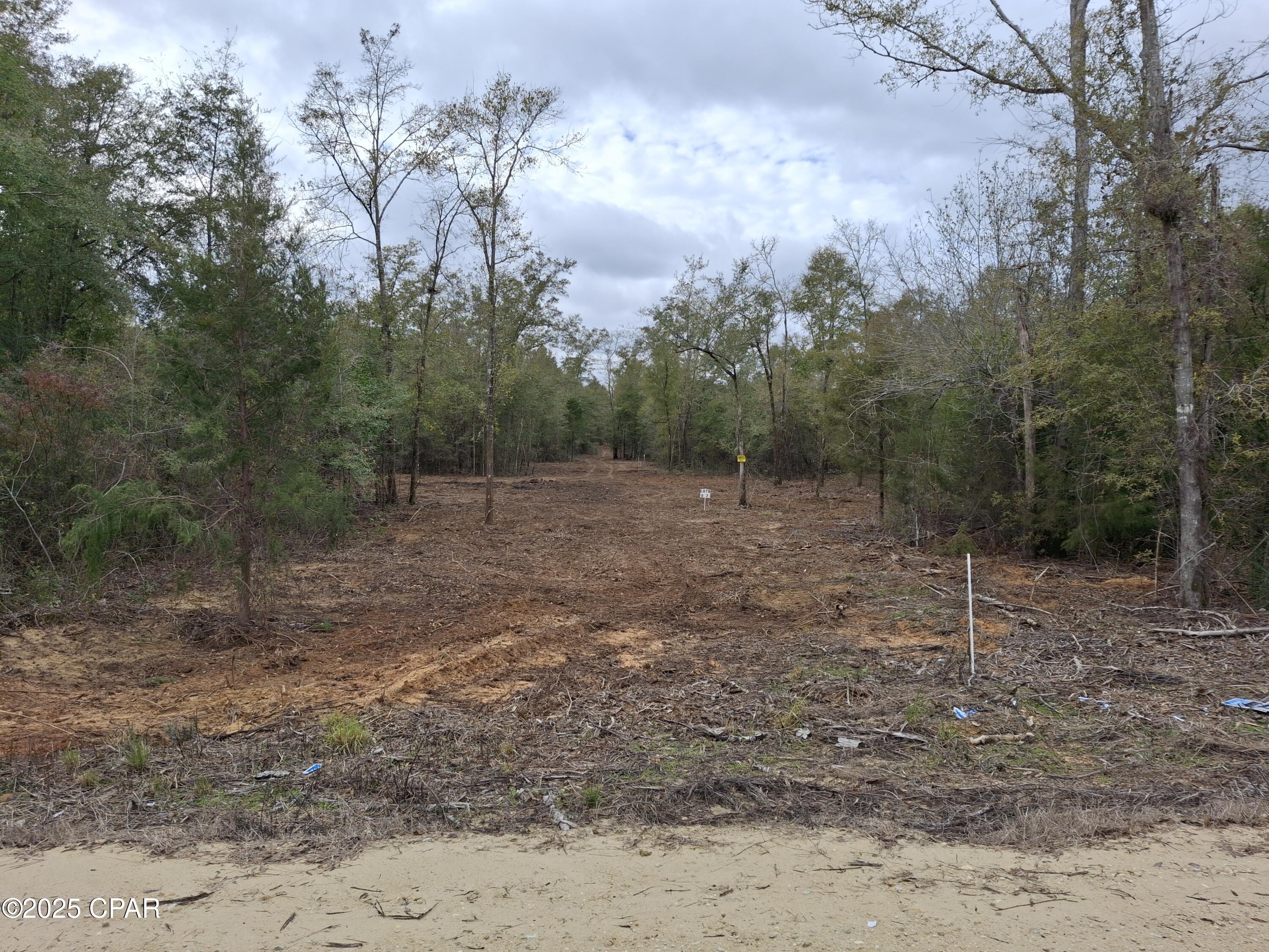 White Pond Plantation - Land