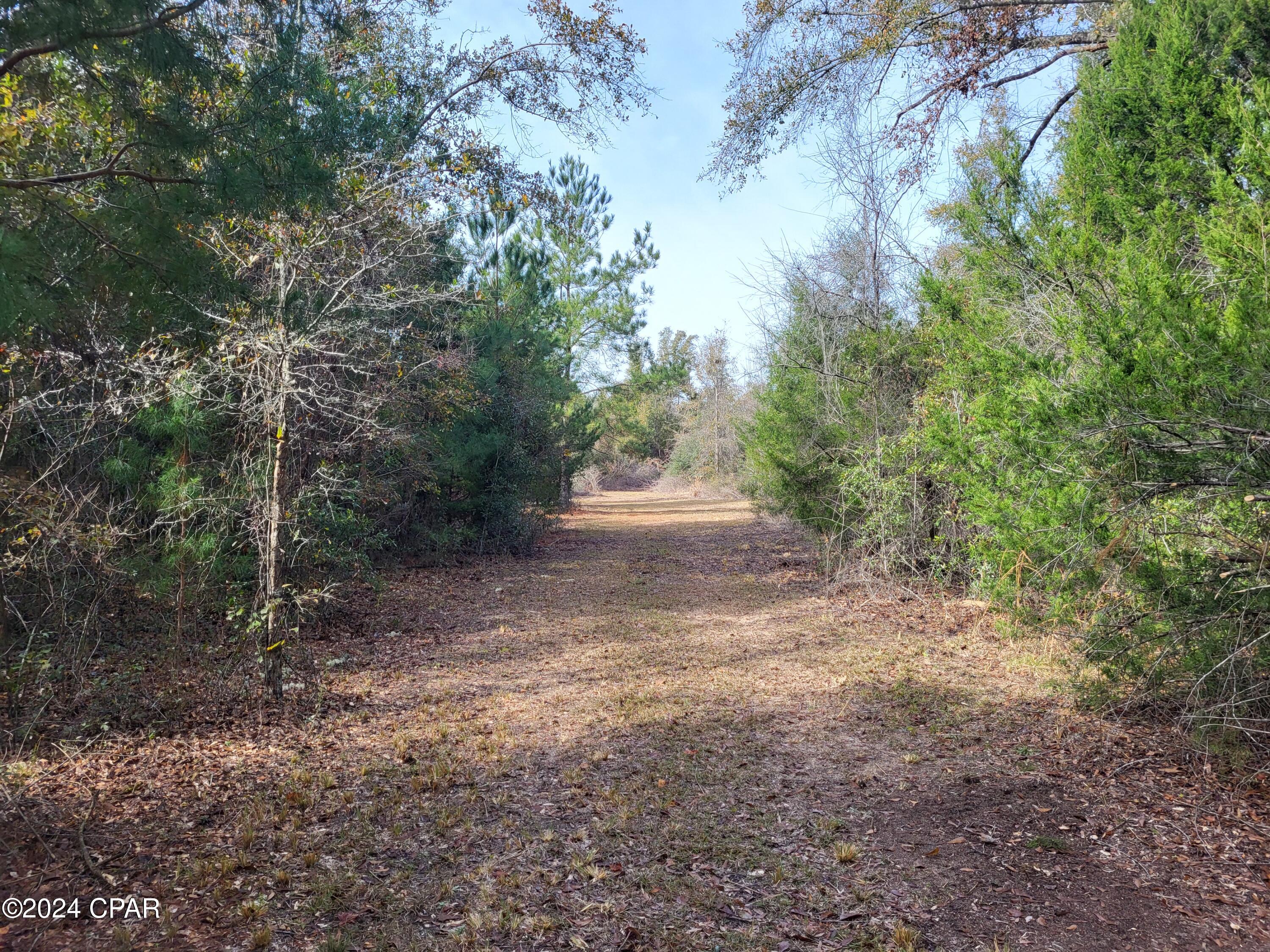3 Acres of great land to build your dream home! Manufactured Homes Allowed!  Seller has already cleared lot lines and you can just pick your perfect site. This lot has already been surveyed. NO HOA! More lots are available if you would like more land. All lots are on County Maintained Roads with easy access. Homes must be at least 960 Sq Ft. heated and cooled. NO Flood Zone. You can have as much privacy as you want. Ask your Realtor to send you the Information about White Pond Plantation. You will love this beautiful land!