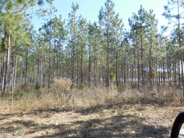 Very nice parcel on land in north Jackson county, 14 ac with about 7 ac of 15yr old planted pines and some cleared land. This would be a great investment or an ideal site to build on, quiet country living at its best, drive by today to view this parcel of land.