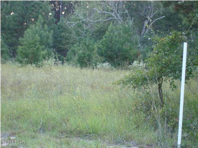 This land is beautiful! Located in the Orange Hill area of Washington County!