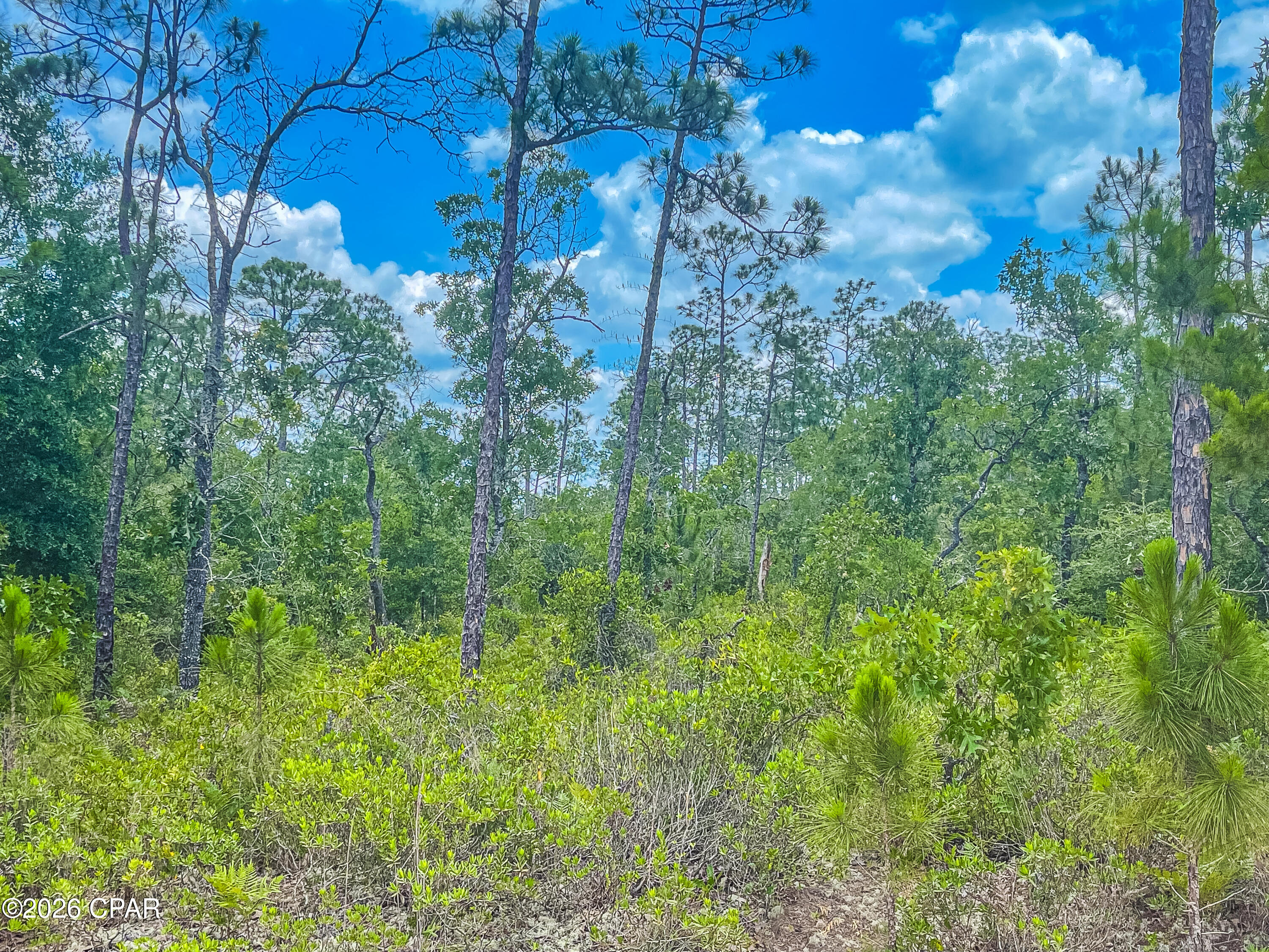 No Named Subdivision - Land