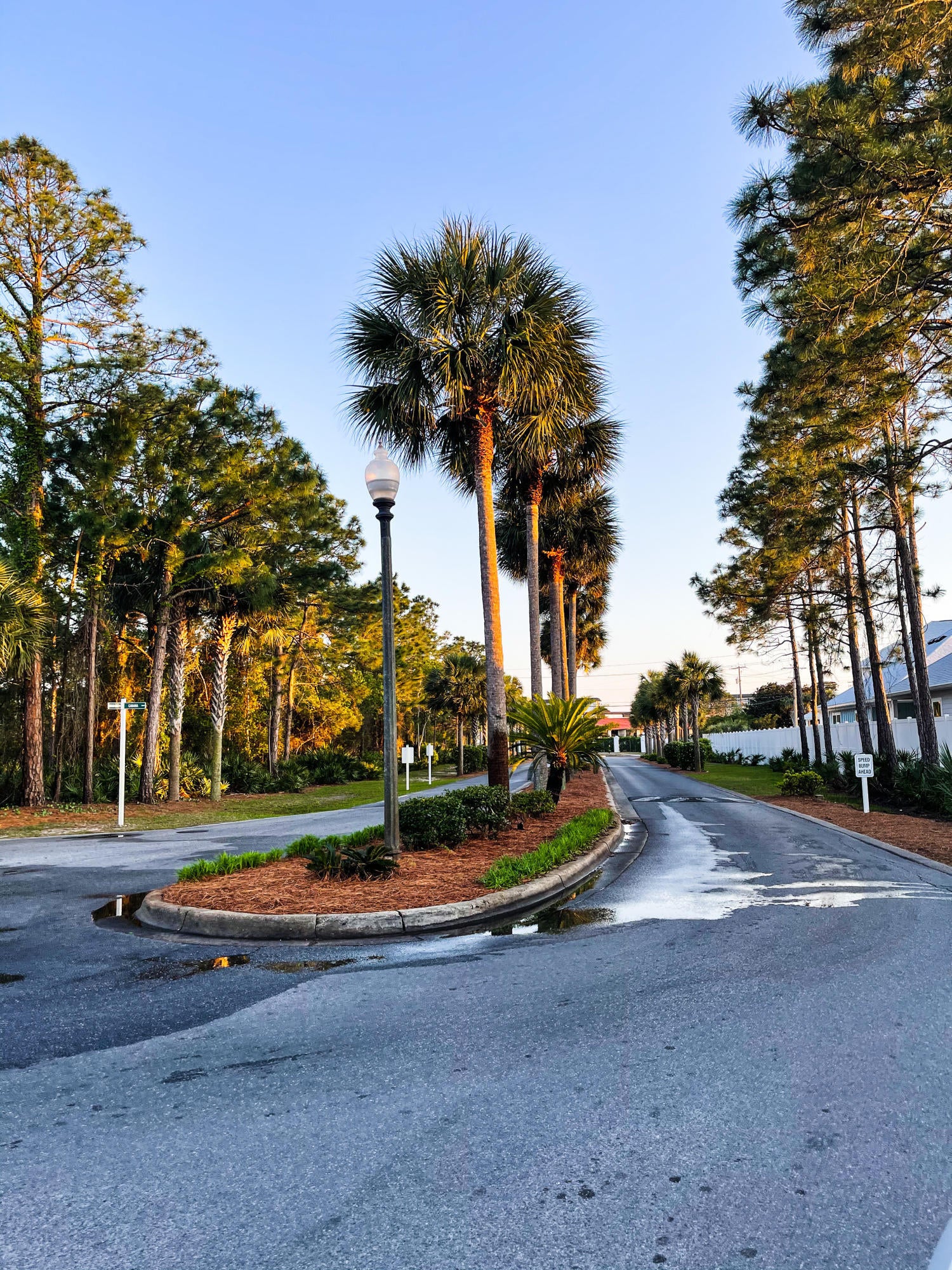 Palm Cove Phase III - Residential