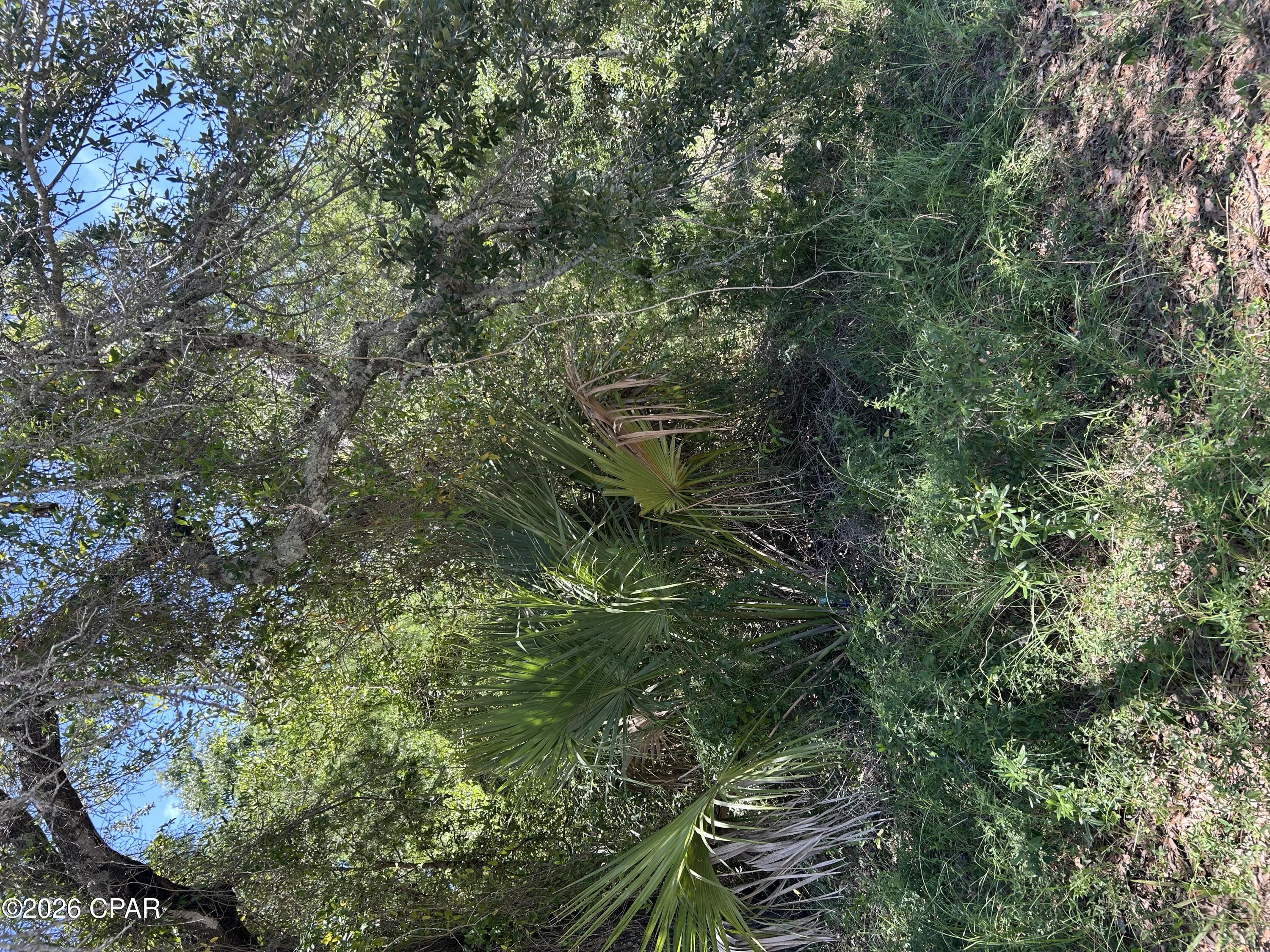 Spacious lot near restaurants, shops & beaches. Ideal for building your new home.