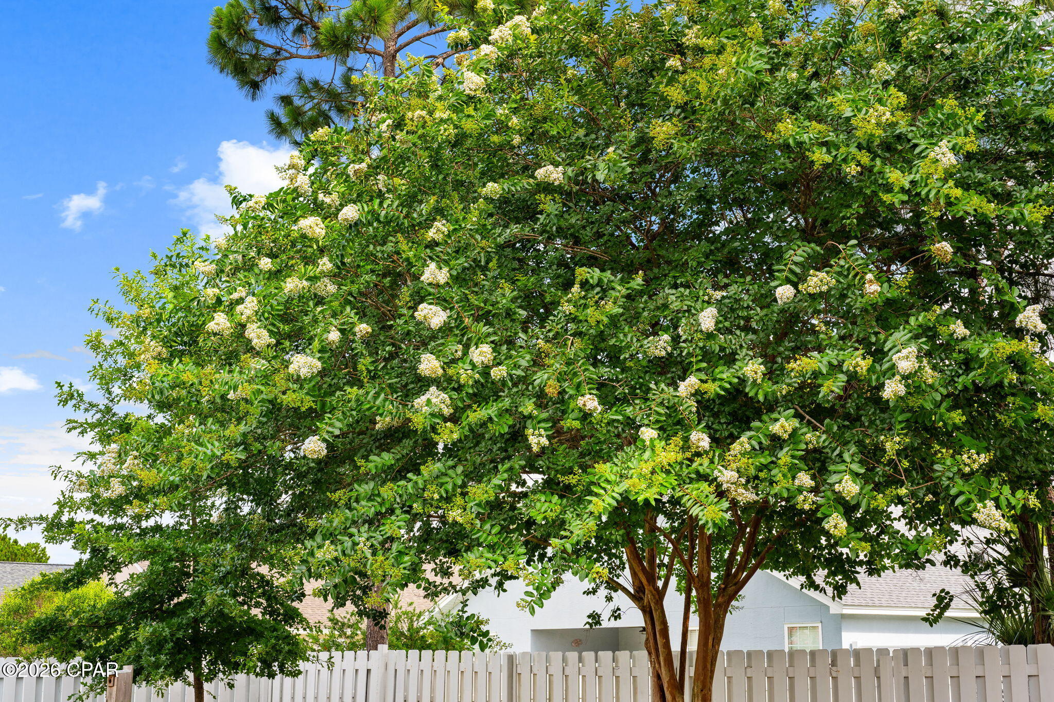 Palmetto Trace Phase IV - Residential