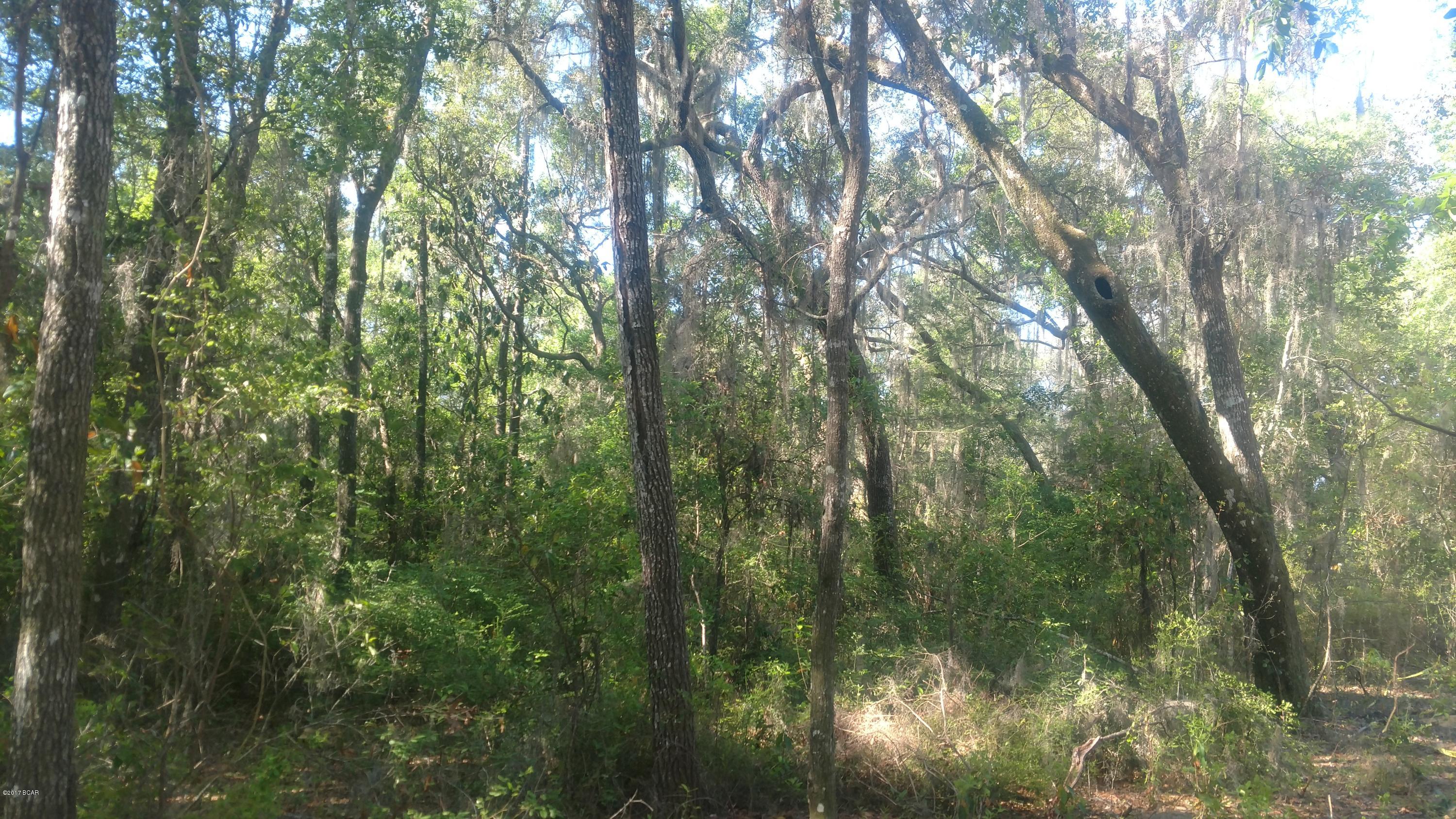 Cedar Creek At Deerpoint Lake - Land