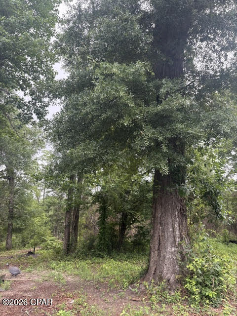 Over 7 acres of natural beauty located just east of Marianna. This corner property features a 3-bedroom, 1-bath home ready for renovation and restoration. Nature enthusiasts will appreciate the cypress pond, which attracts a variety of wildlife, creating a peaceful retreat-like setting. The seller reports a tupelo tree on the property, making it an appealing location for beekeeping. Whether you're seeking a homestead, hunting retreat, or private getaway, this property offers endless potential. With vision and effort, it can become your own secluded nature sanctuary.