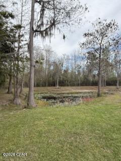 Panama Pines - Land