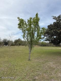 Panama Pines - Land