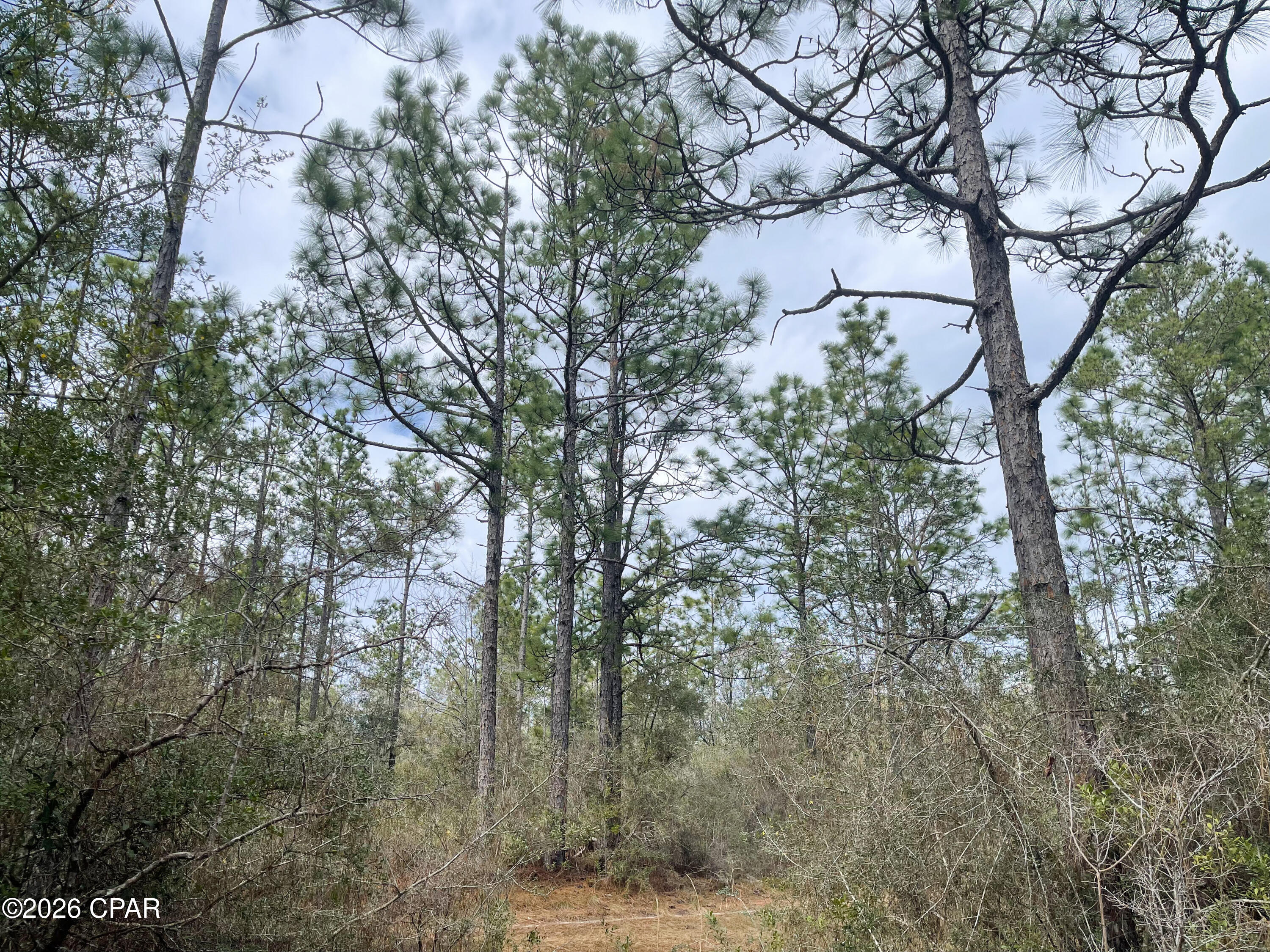 No Named Subdivision - Land