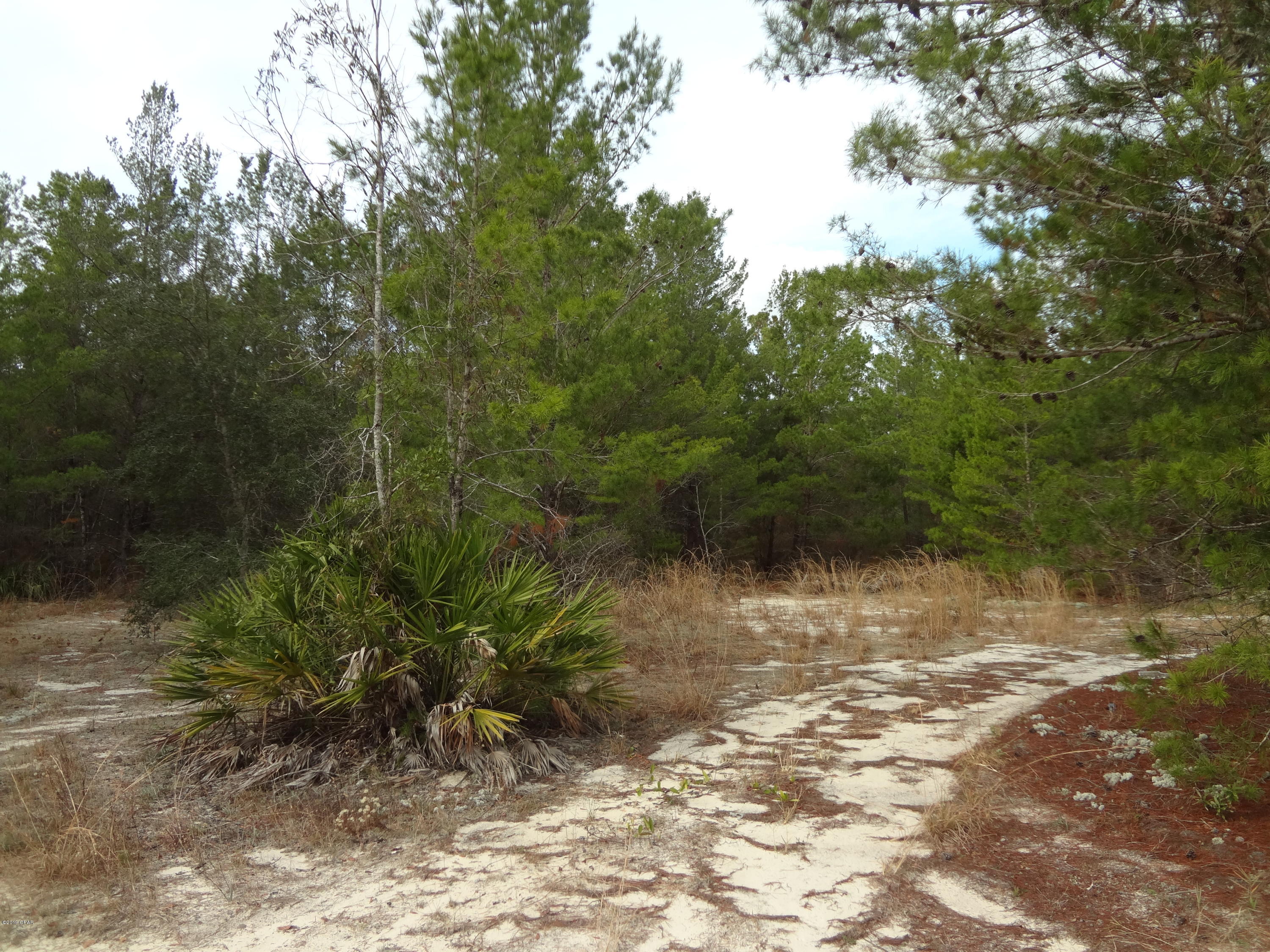 Otter Creek - Land